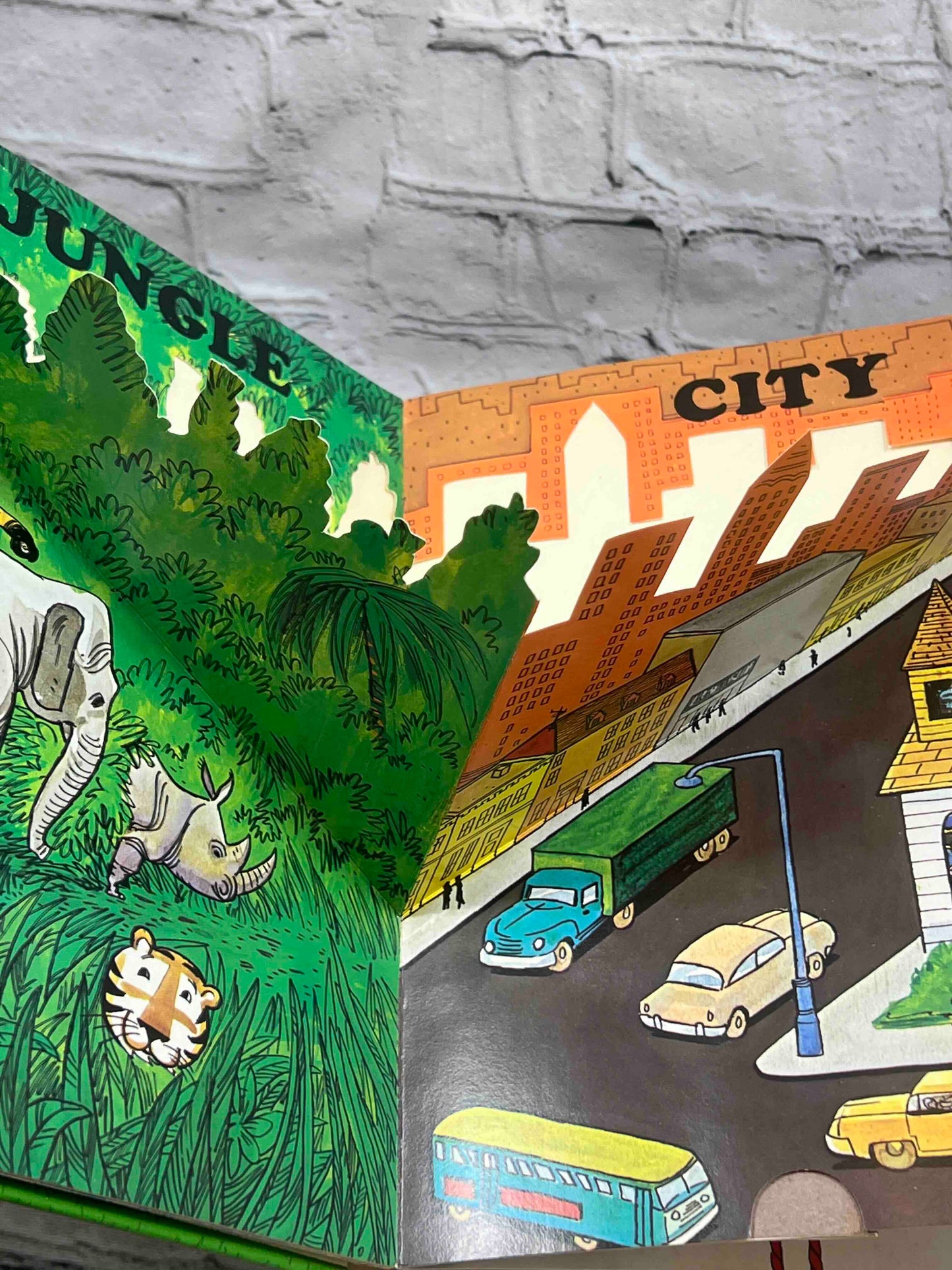 The Action Fun Pop-Up Book of Opposites