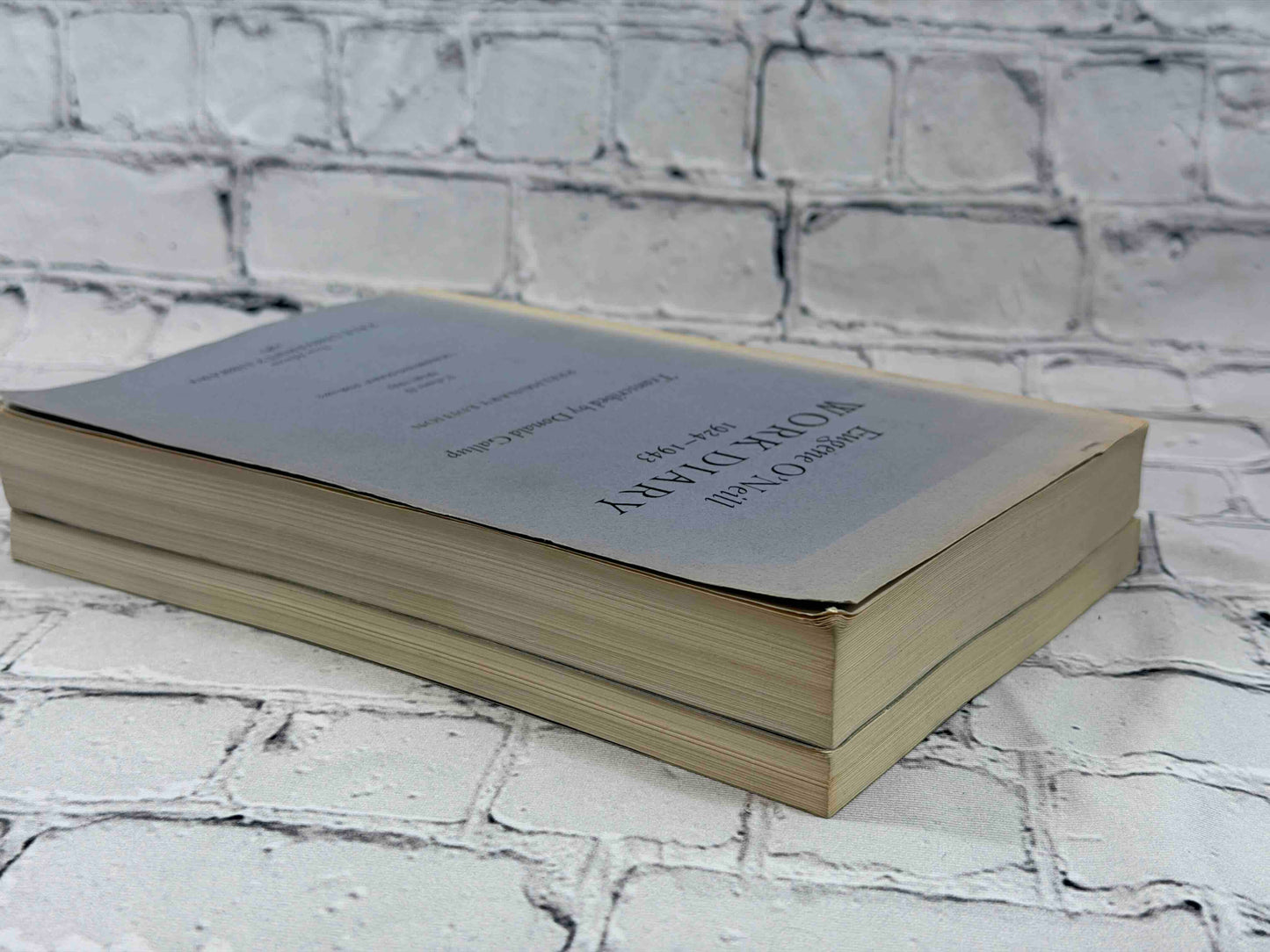 Eugene O'Neill Work Diary 1924 - 1943 (2 Volumes)