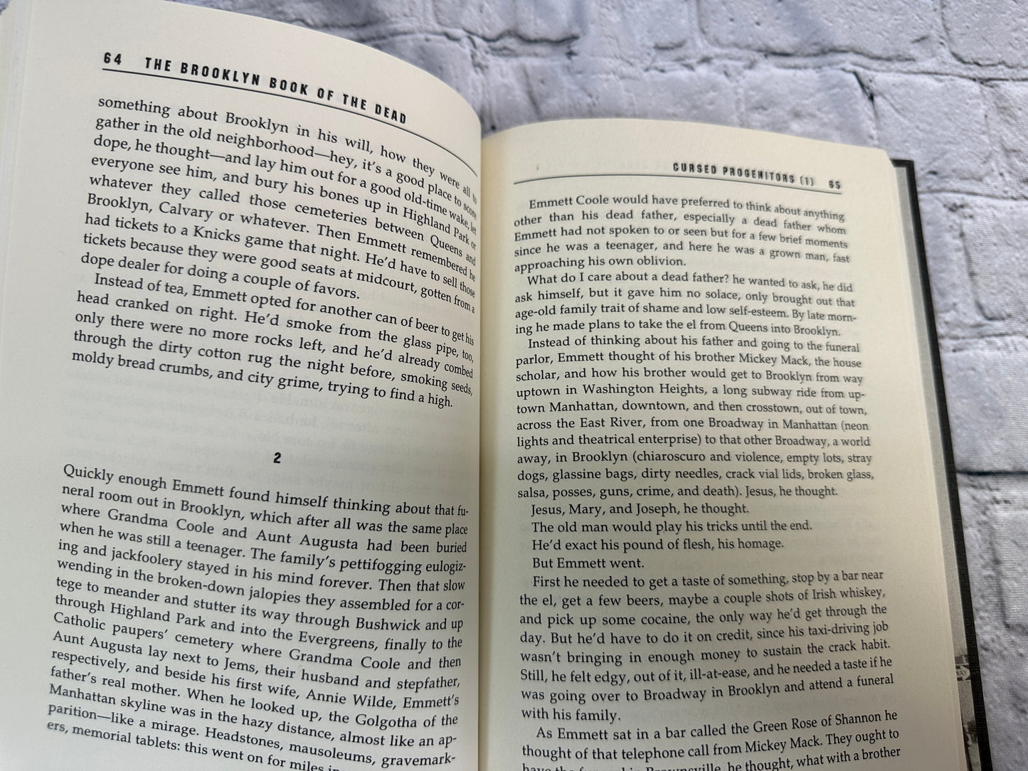 The Brooklyn Book of the Dead