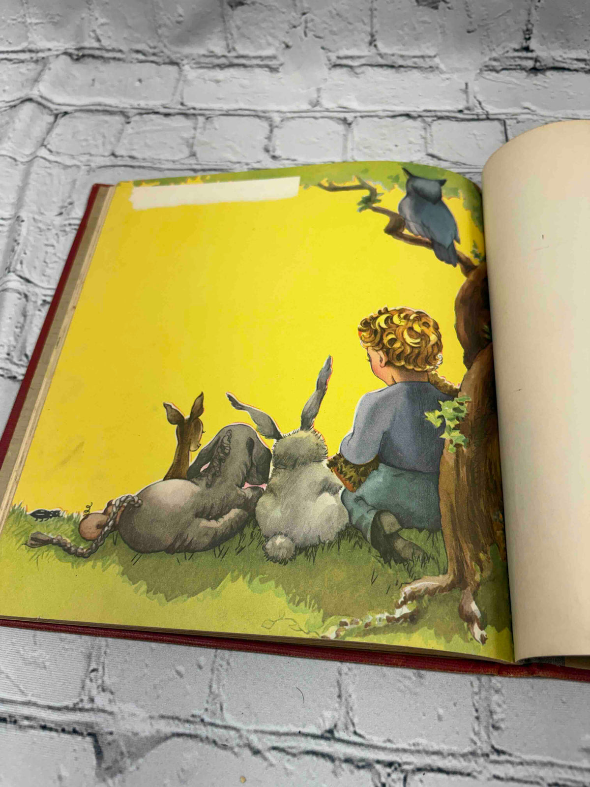 Winnie-the-Pooh