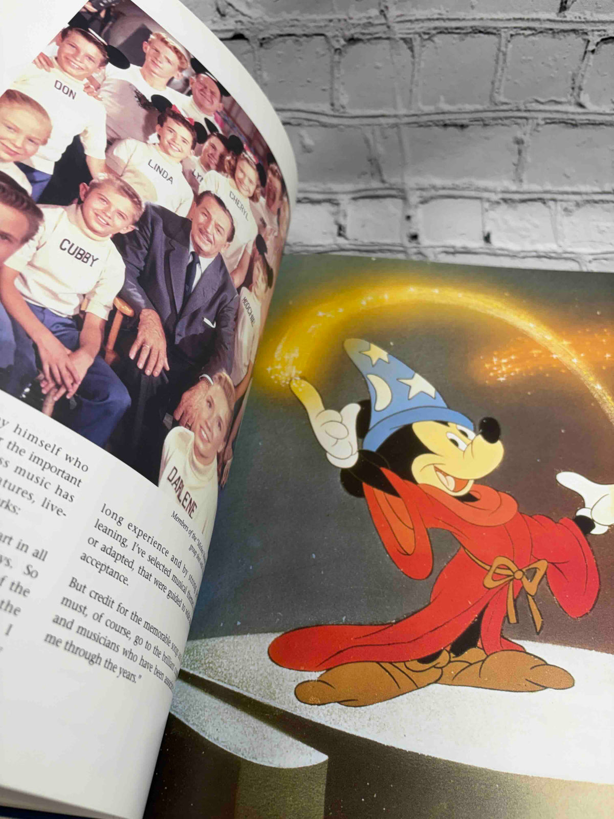 The Illustrated Treasury of Disney Songs
