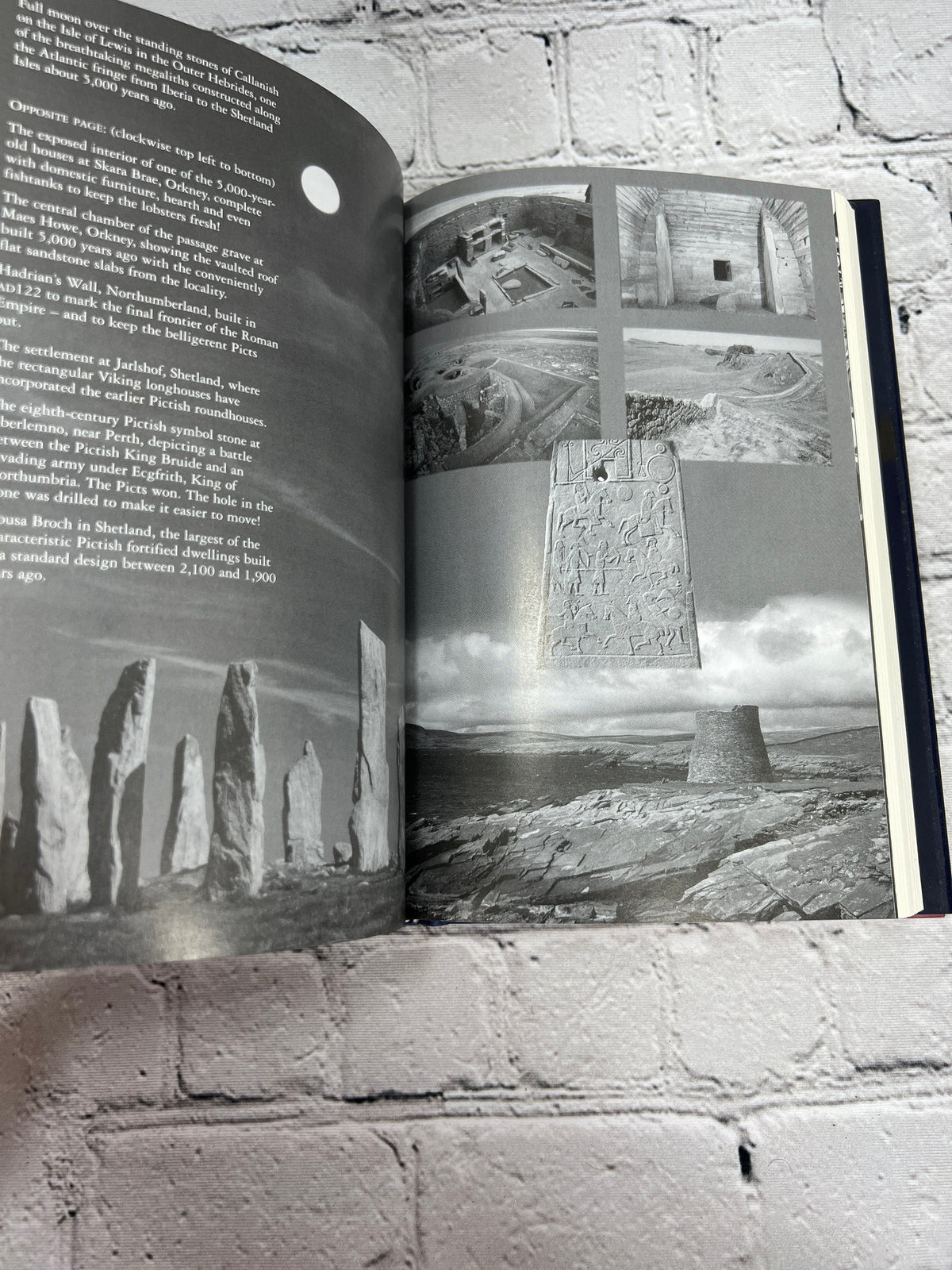 Saxons, Vikings, and Celts by Bryan Sykes, 2006 W. W. Norton hardcover - photo plates