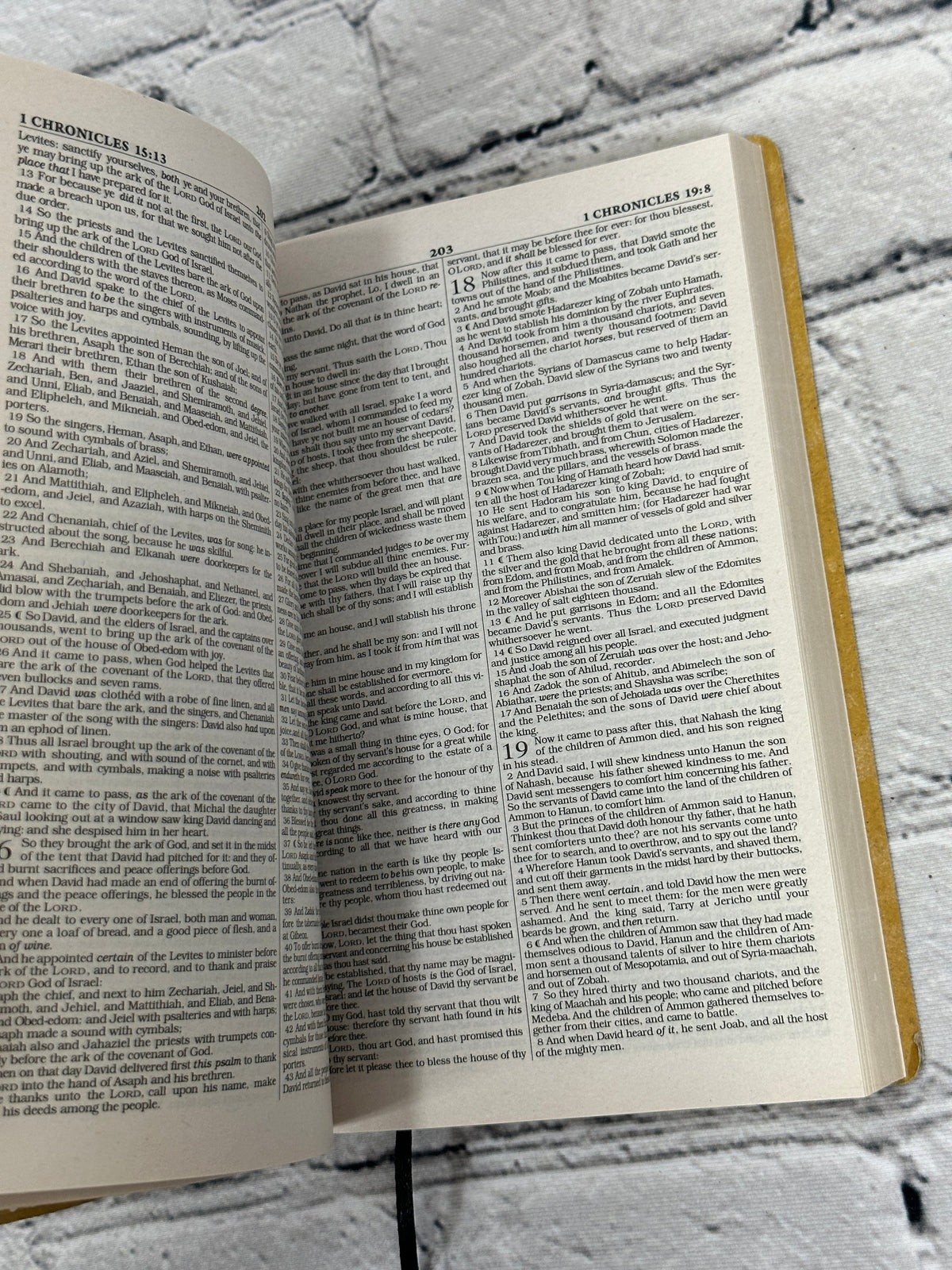 Holy Bible King James Version, One Million Words 2018 - text pages