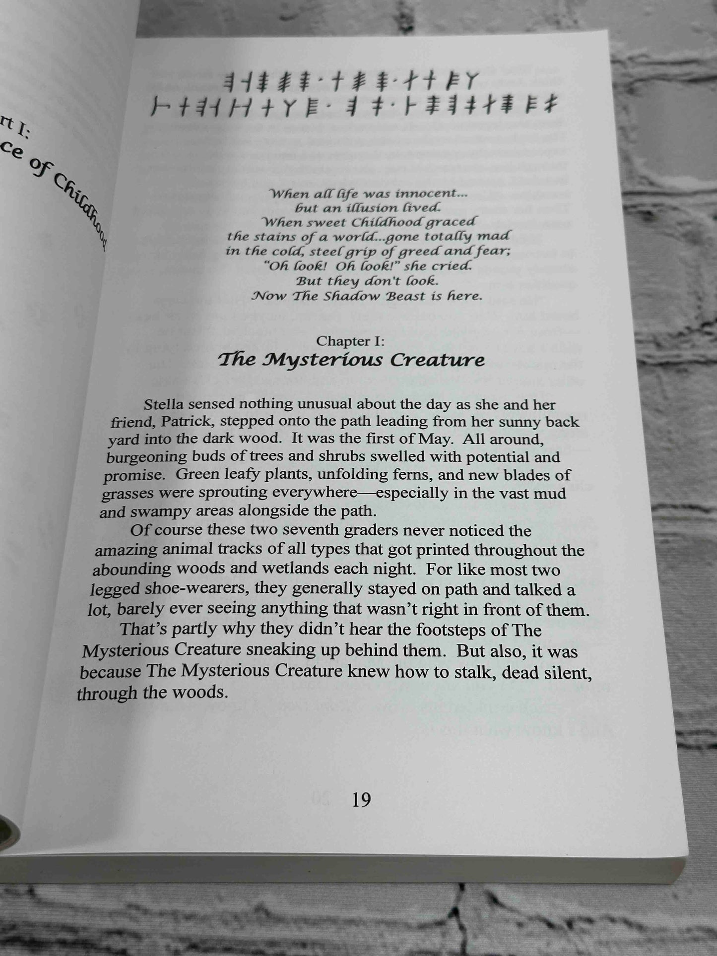 The Prophet Walker: The Trans-Burgeoning Pathways (Book 1)