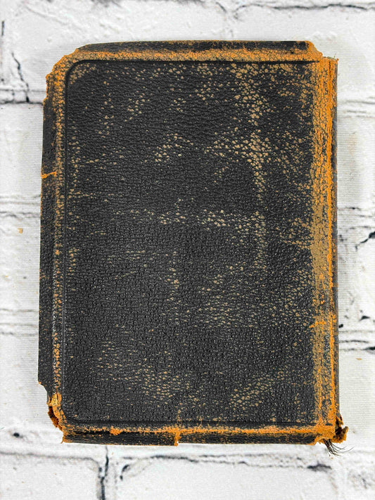 Holy Bible, Oxford University Press leather - rear cover