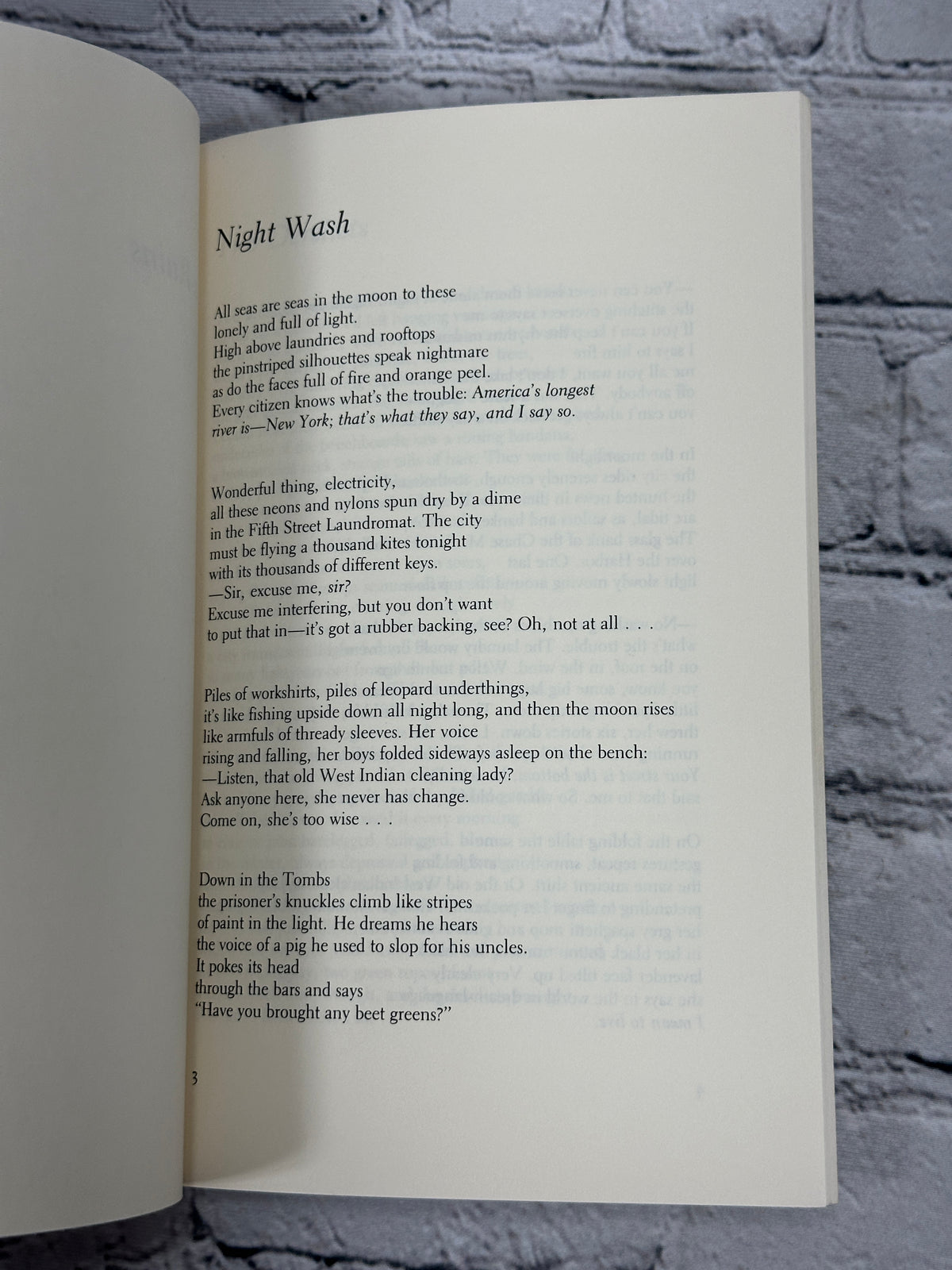 The Key to the City by Anne Winters, 1986 University of Chicago Press paperback - poem Night Wash