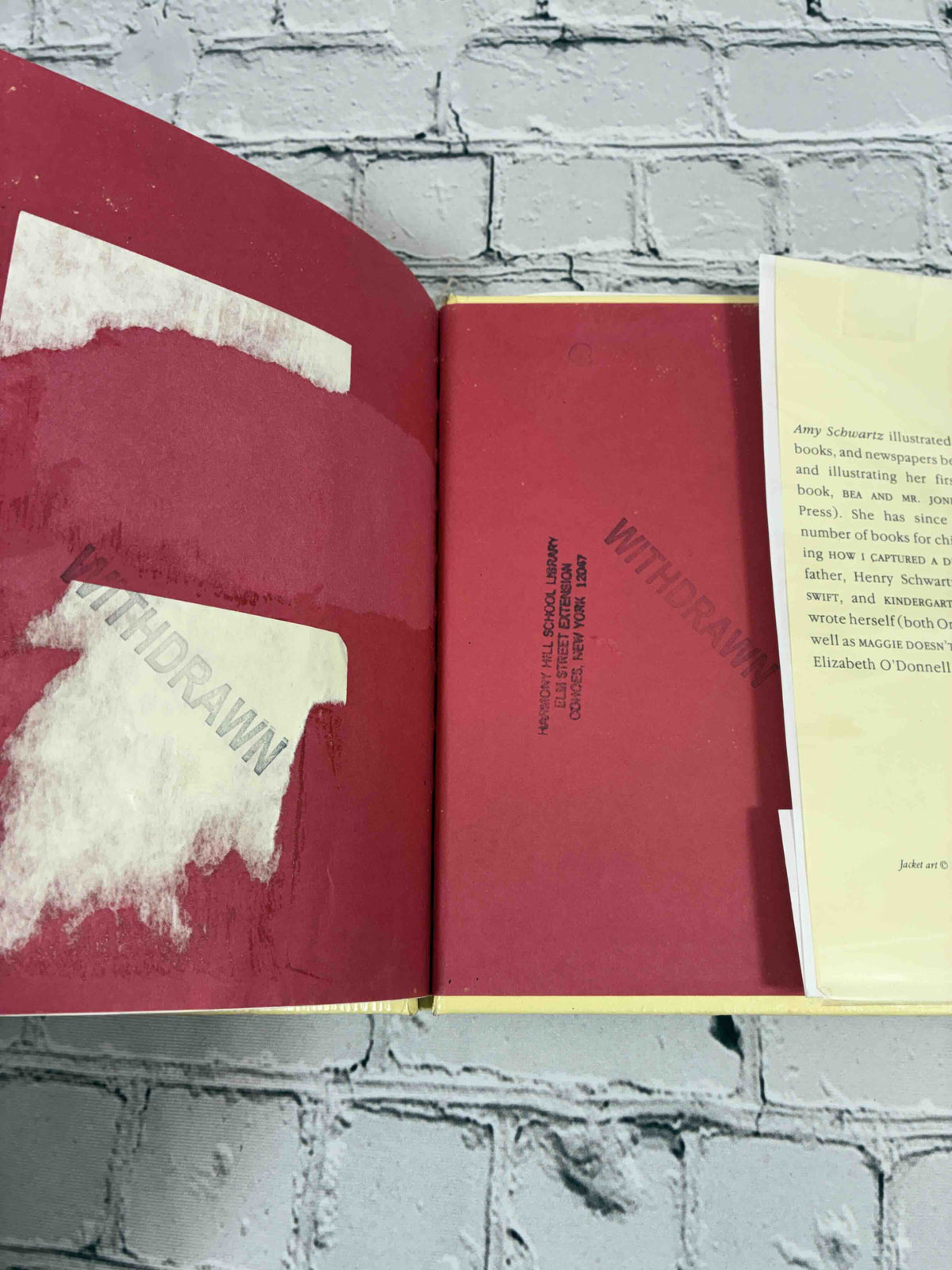 Begin at the Beginning by Amy Schwartz, 1983 ex-library hardcover - rear endpaper with library pocket damage and stamps