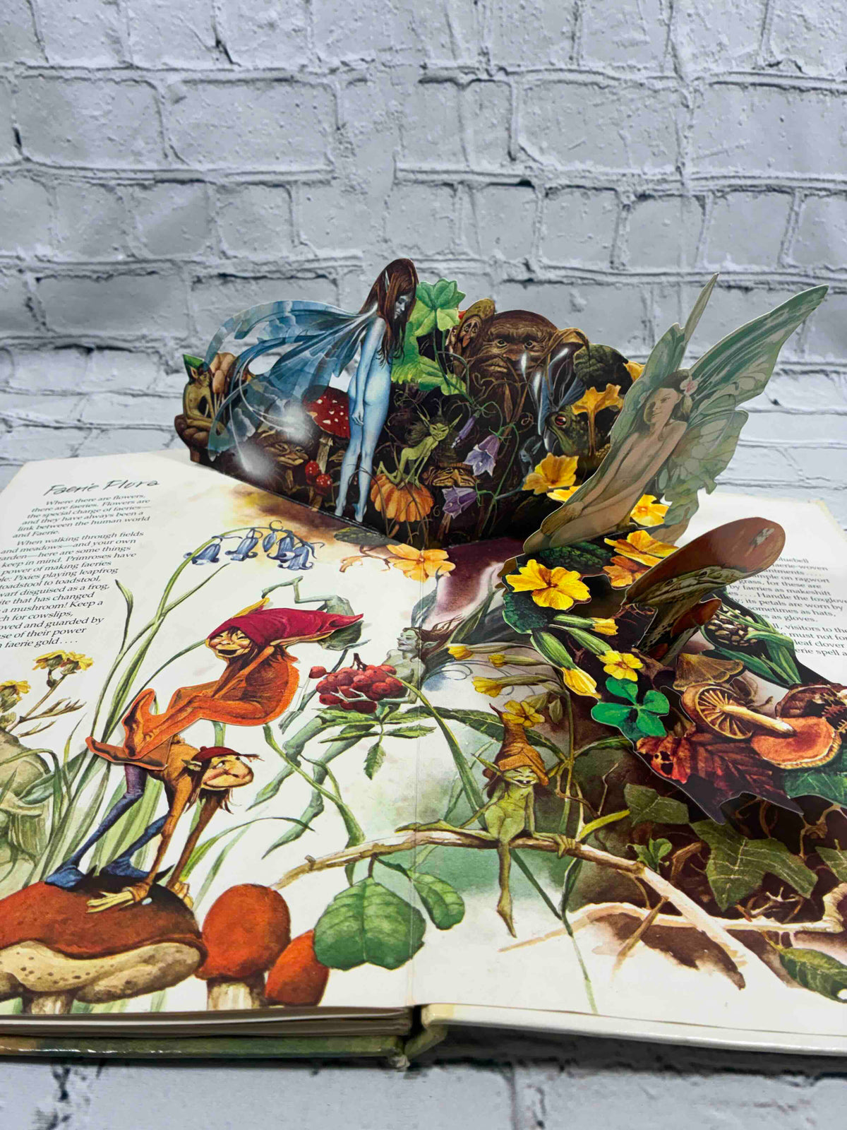 The Faeries Pop-up Book by Brian Froud and Alan Lee, Kestrel Books - faerie flora pop-up