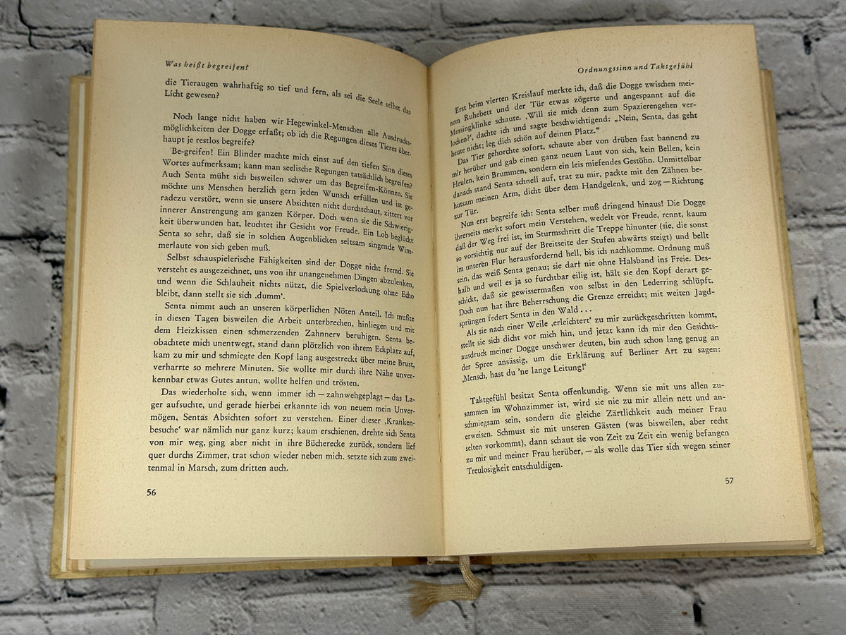 Die gelbe Dogge Senta by Paul Eipper, 1953 Deutsche Buch-Gemeinschaft hardcover - interior pages