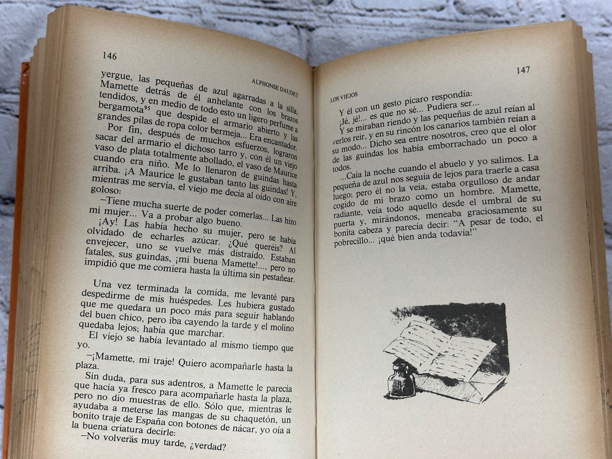Cartas desde mi Molino