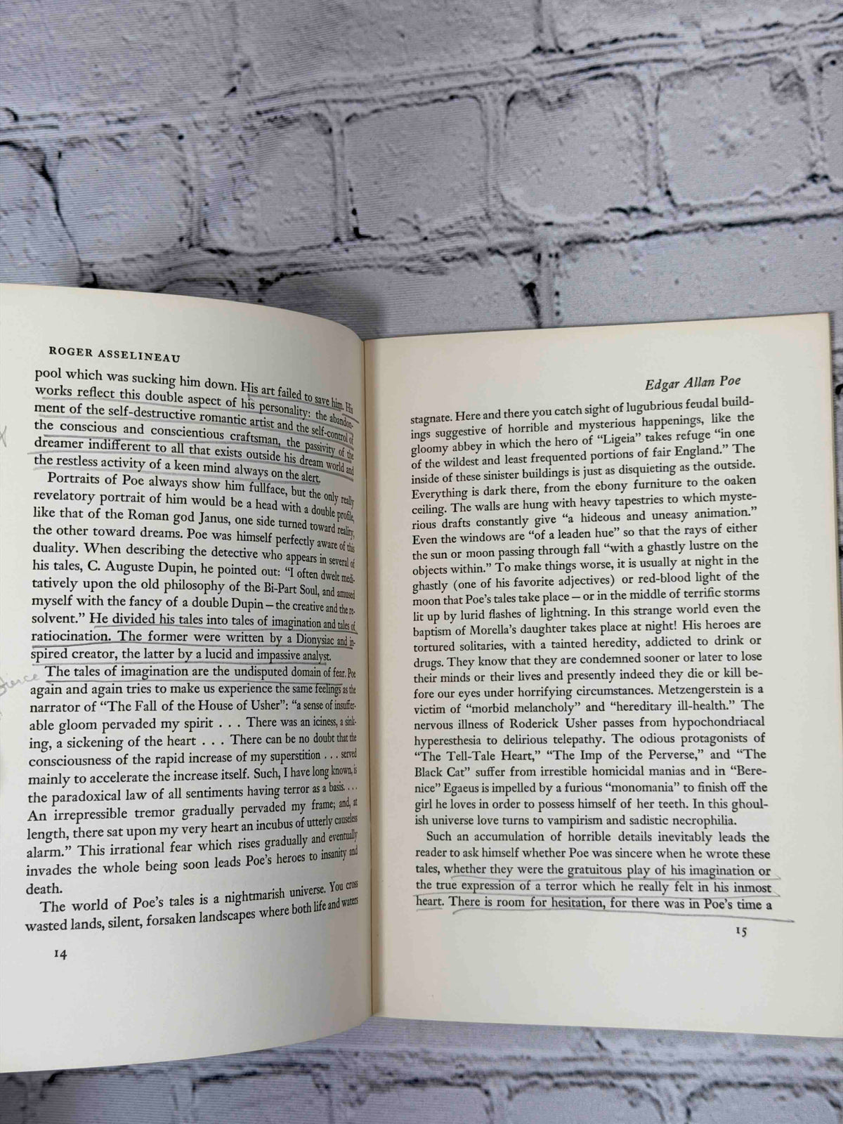 Edgar Allan Poe University of Minnesota Pamphlets on American Writers No. 89