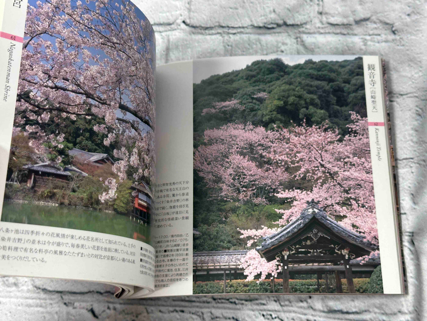 Kyoto: Famous Cherry Blossom Spots (京都桜名所 Suiko books (119)