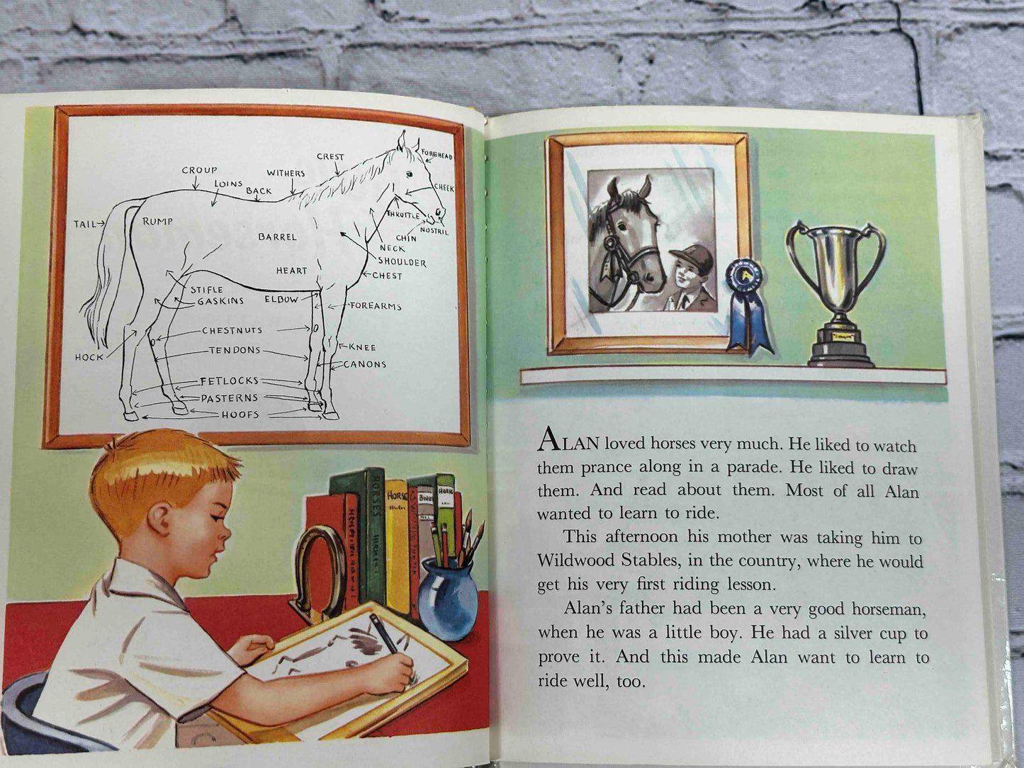 Little Horseman (Tip-Top Elf Book)