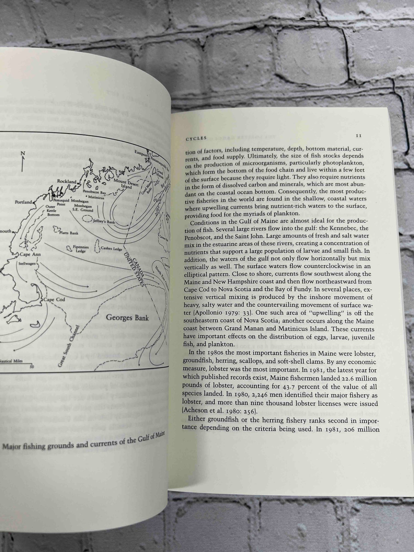 The Lobster Gangs of Maine