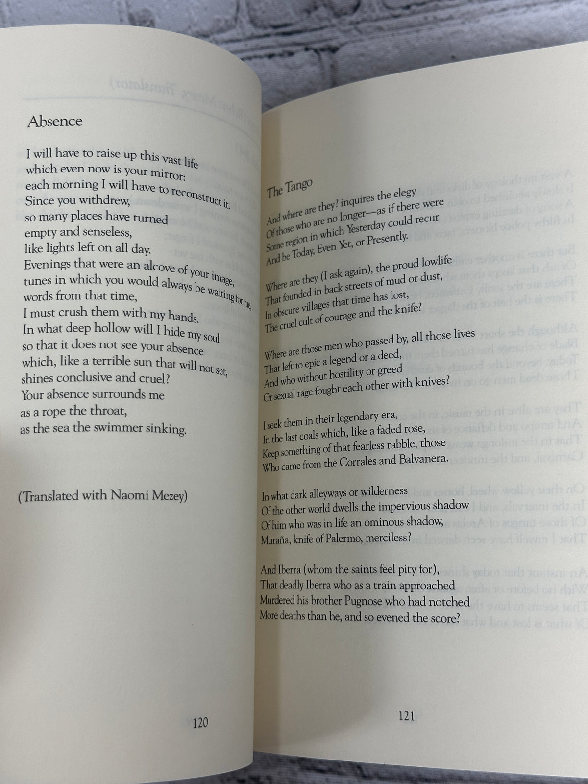 Seneca Review Vol. XXIII Nos. 1 & 2, 1993 - poem pages