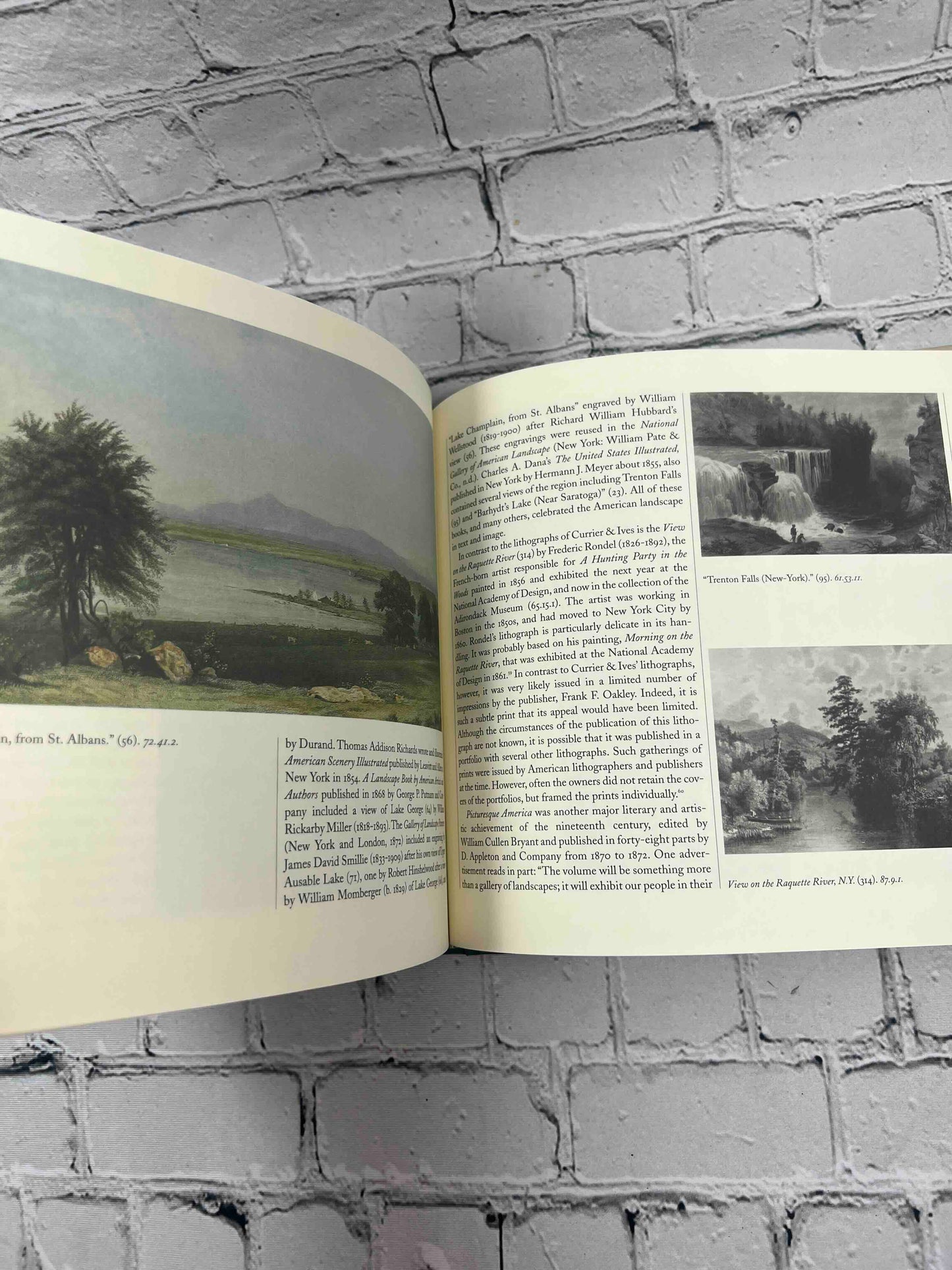 Wild Impressions: Prints from the Collection of the Adirondack Museum
