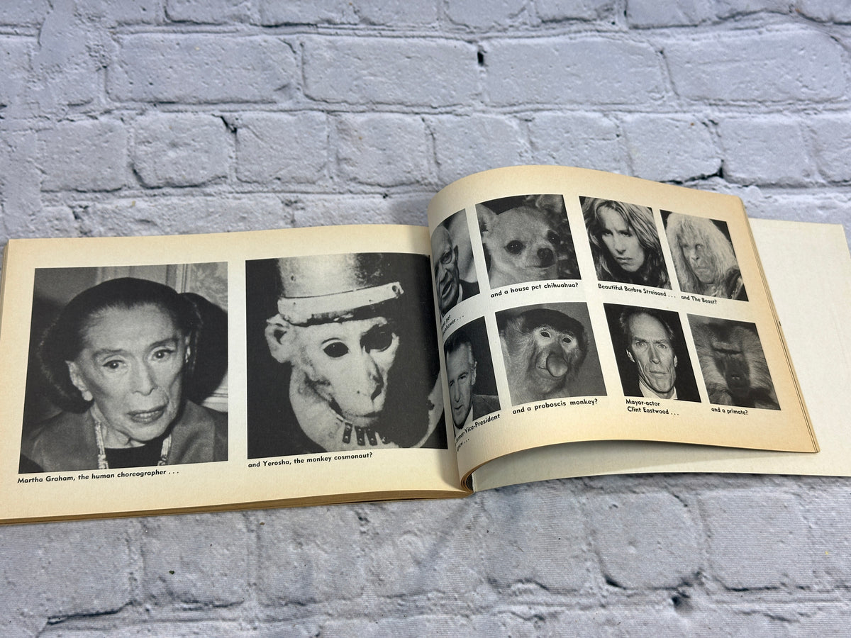 Separated at Birth? by Spy Magazine, 1988 Doubleday Dolphin paperback - look-alike photo pages