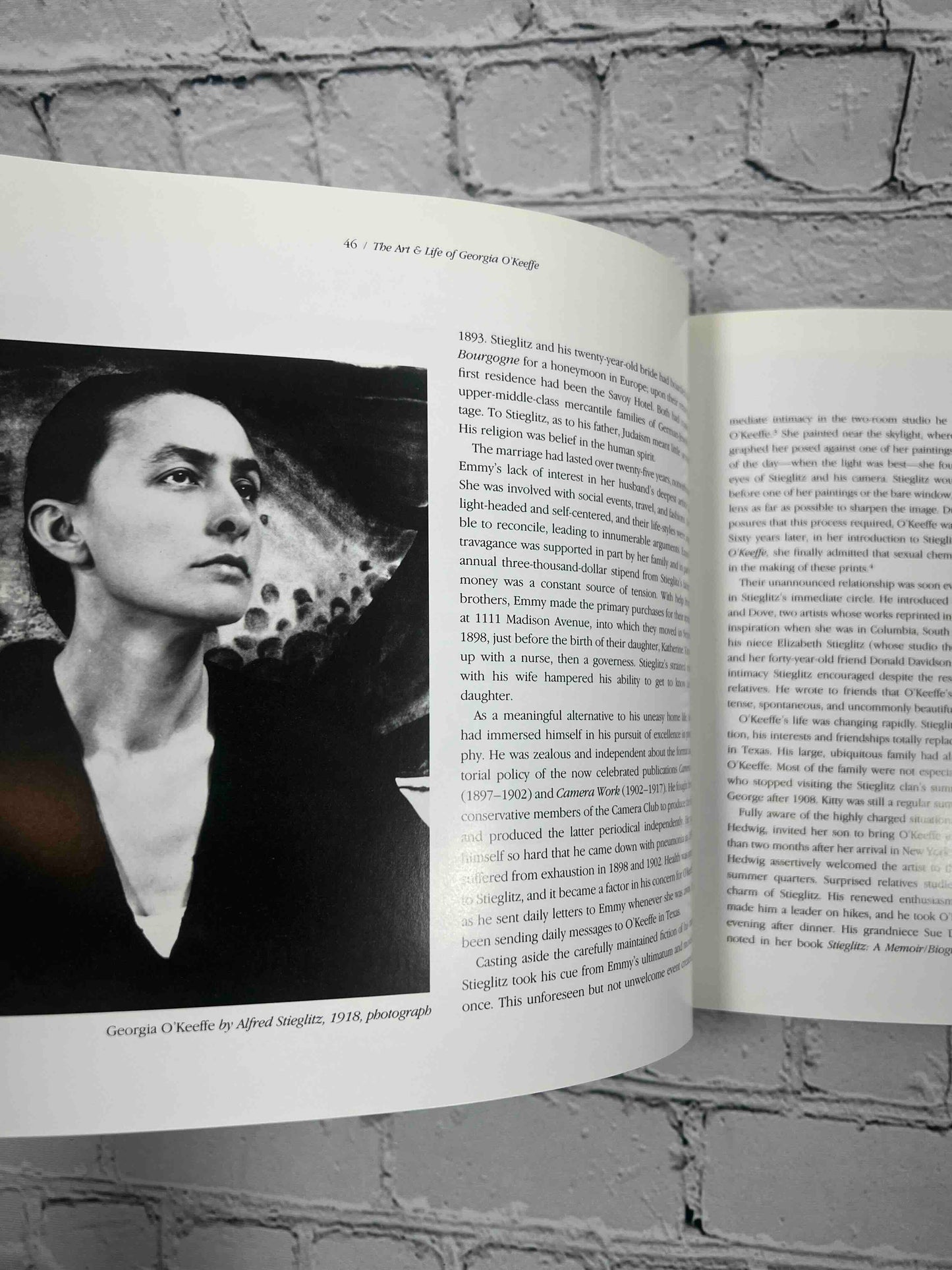 The Art and Life of Gerogia O'Keeffe
