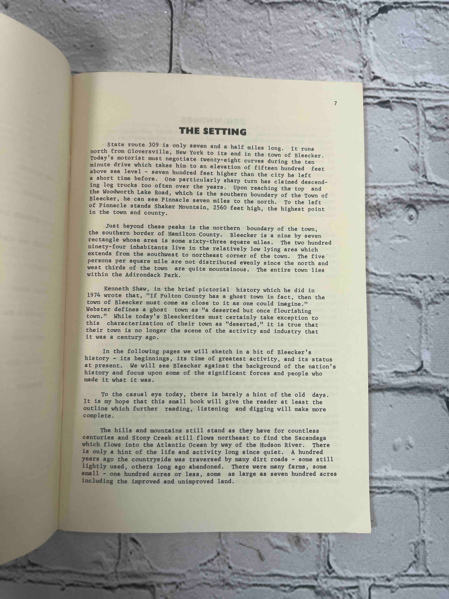Hides and Hemlock History of Bleecker