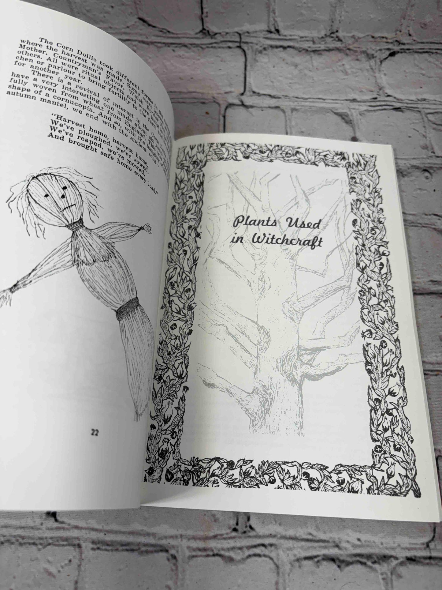 A Witch's Brew (Signed)