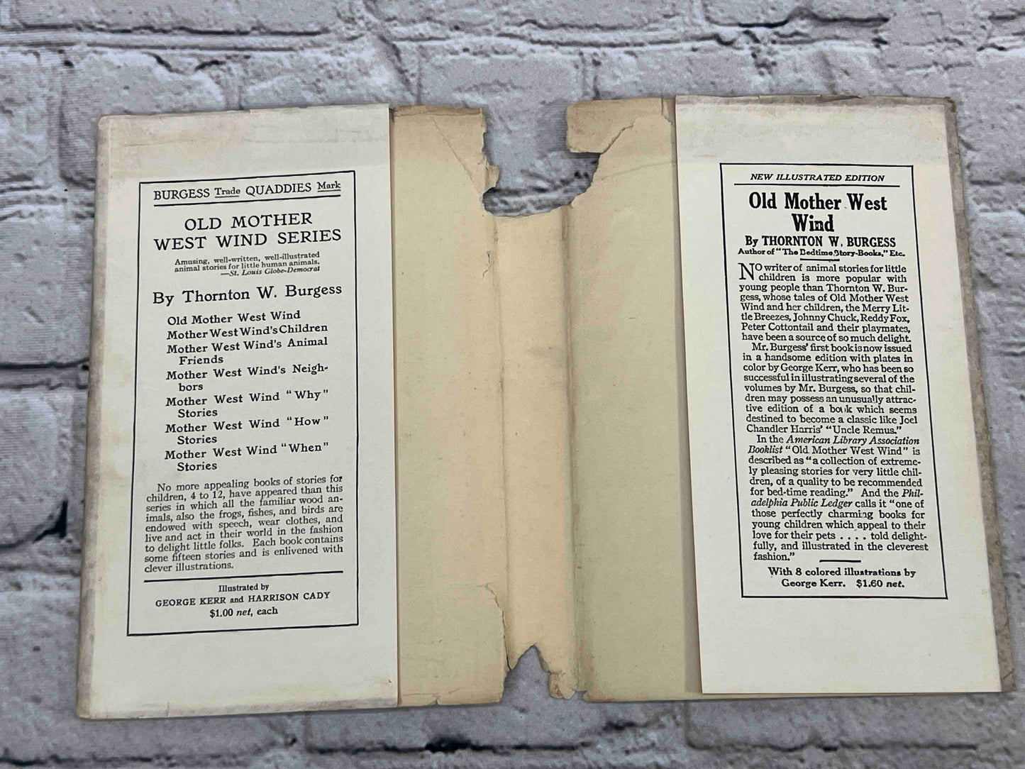 Adventures of Mr. Mocker