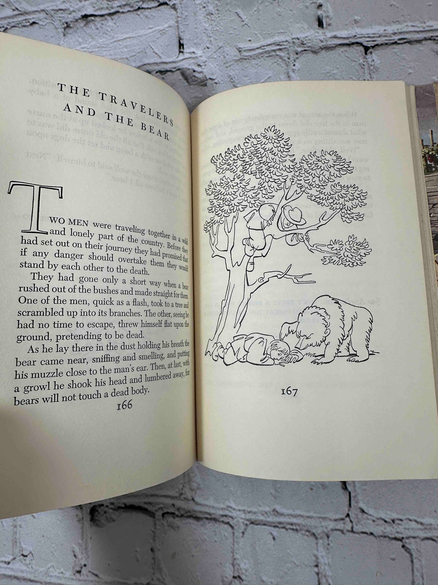 Aesop's Fables (Illustrated Junior Library)
