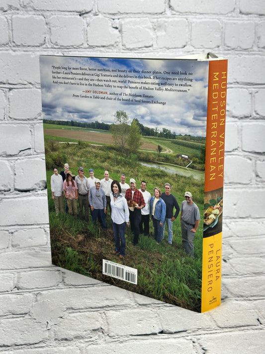 Hudson Valley Mediterranean: The Gigi Good Food Cookbook