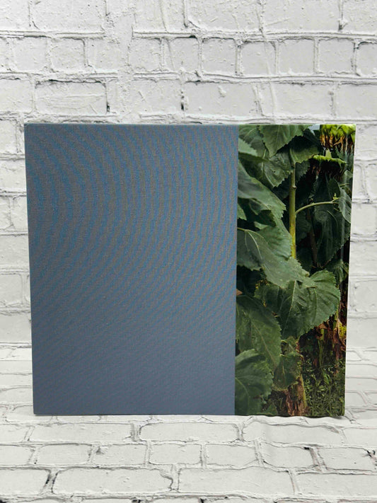 Sheron Rupp: Taken From Memory