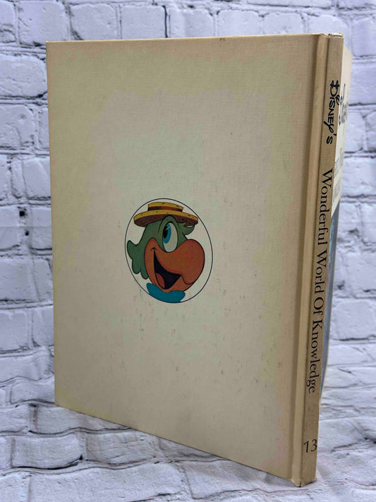 Disney's Wonderful World of Knowledge (Volume 13 · The Continents)