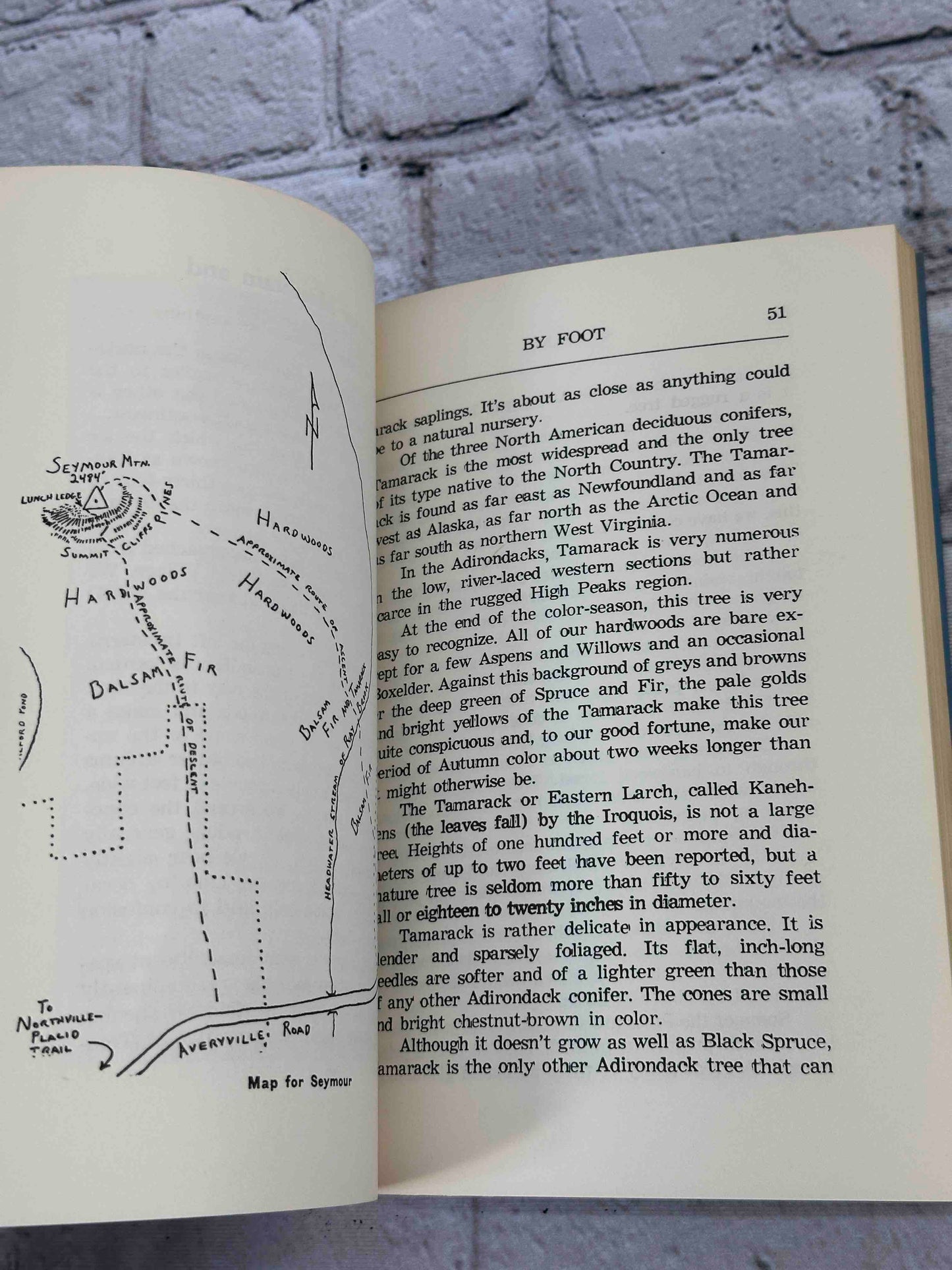 By Foot in the Adirondacks