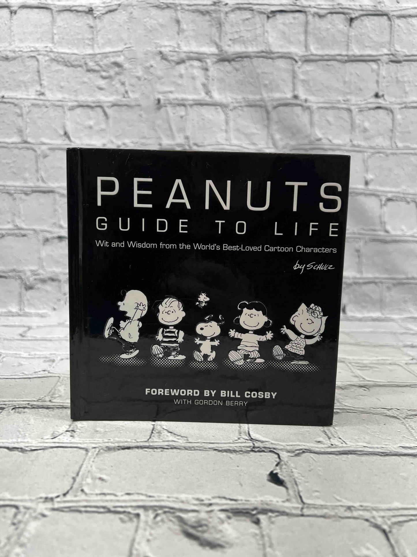 Peanuts: Guide to Life