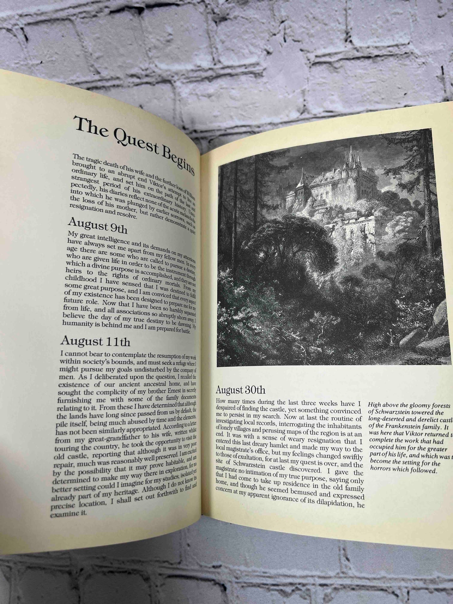 The Frankenstein Diaries