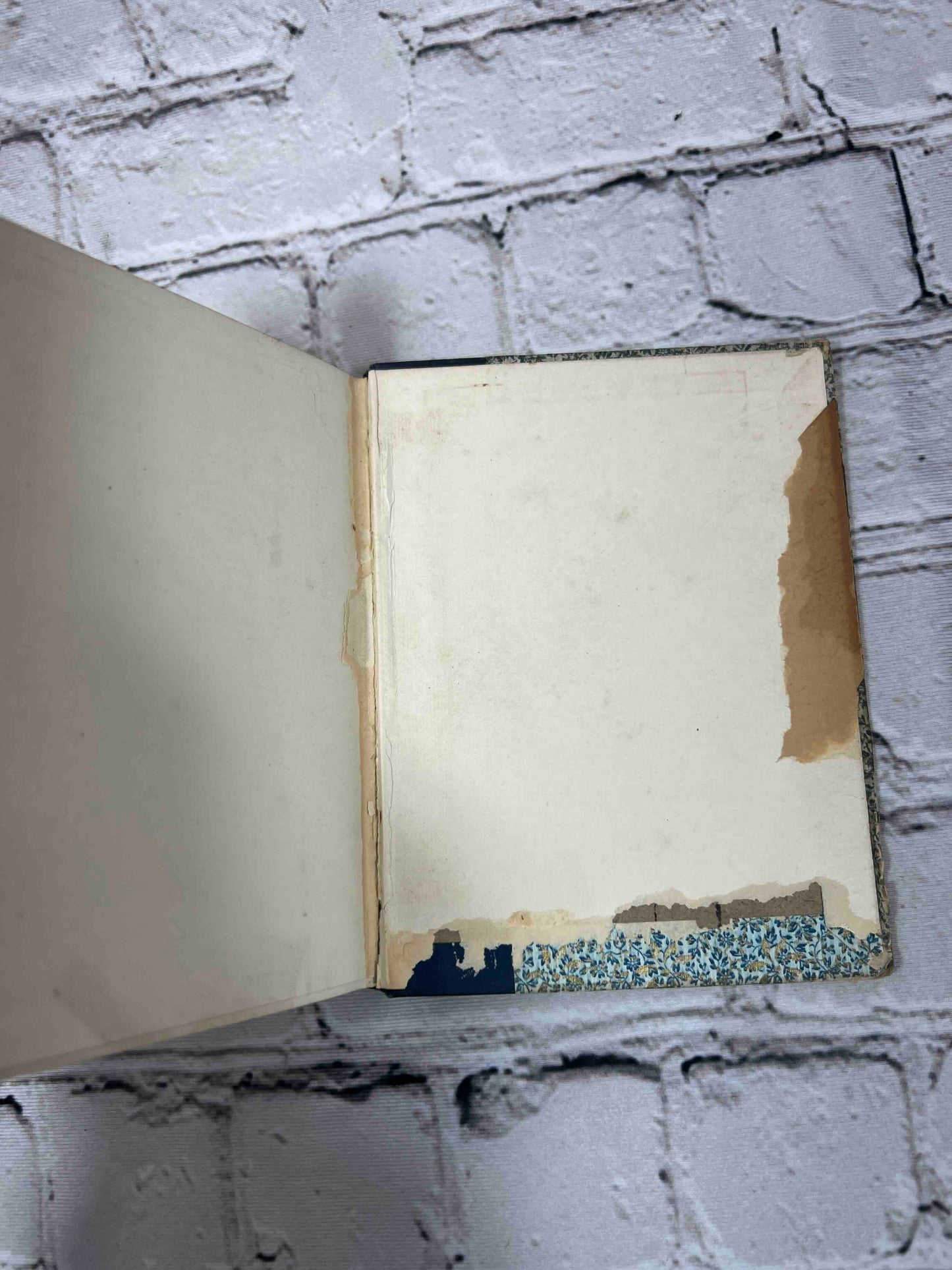 Irish Melodies and Songs (Knickerbocker Nuggets)