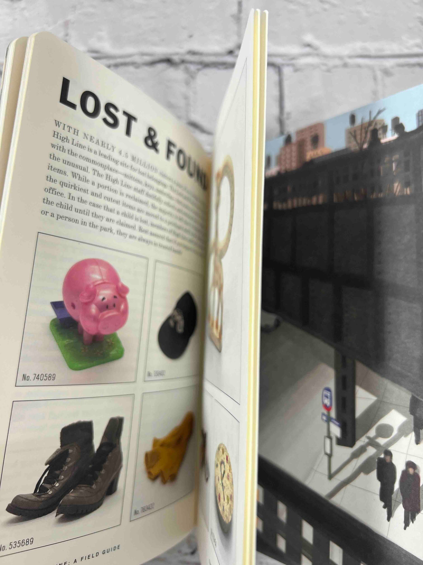 High Line: A Field Guide and Handbook: A Project by Mark Dion