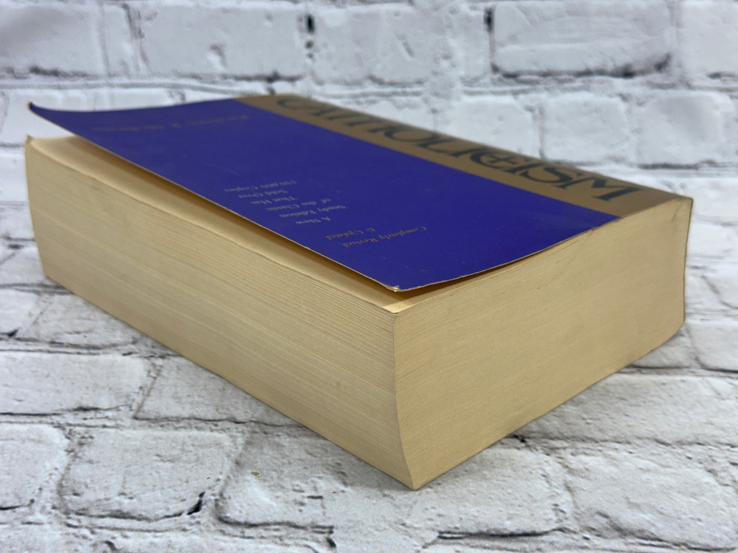 Catholicism: New Study Edition