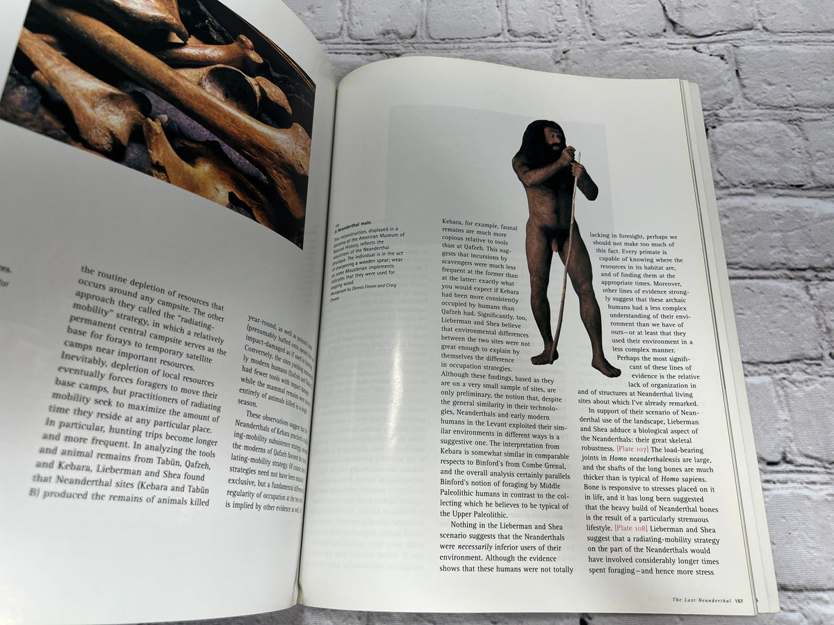 The Last Neanderthal by Ian Tattersall - interior pages
