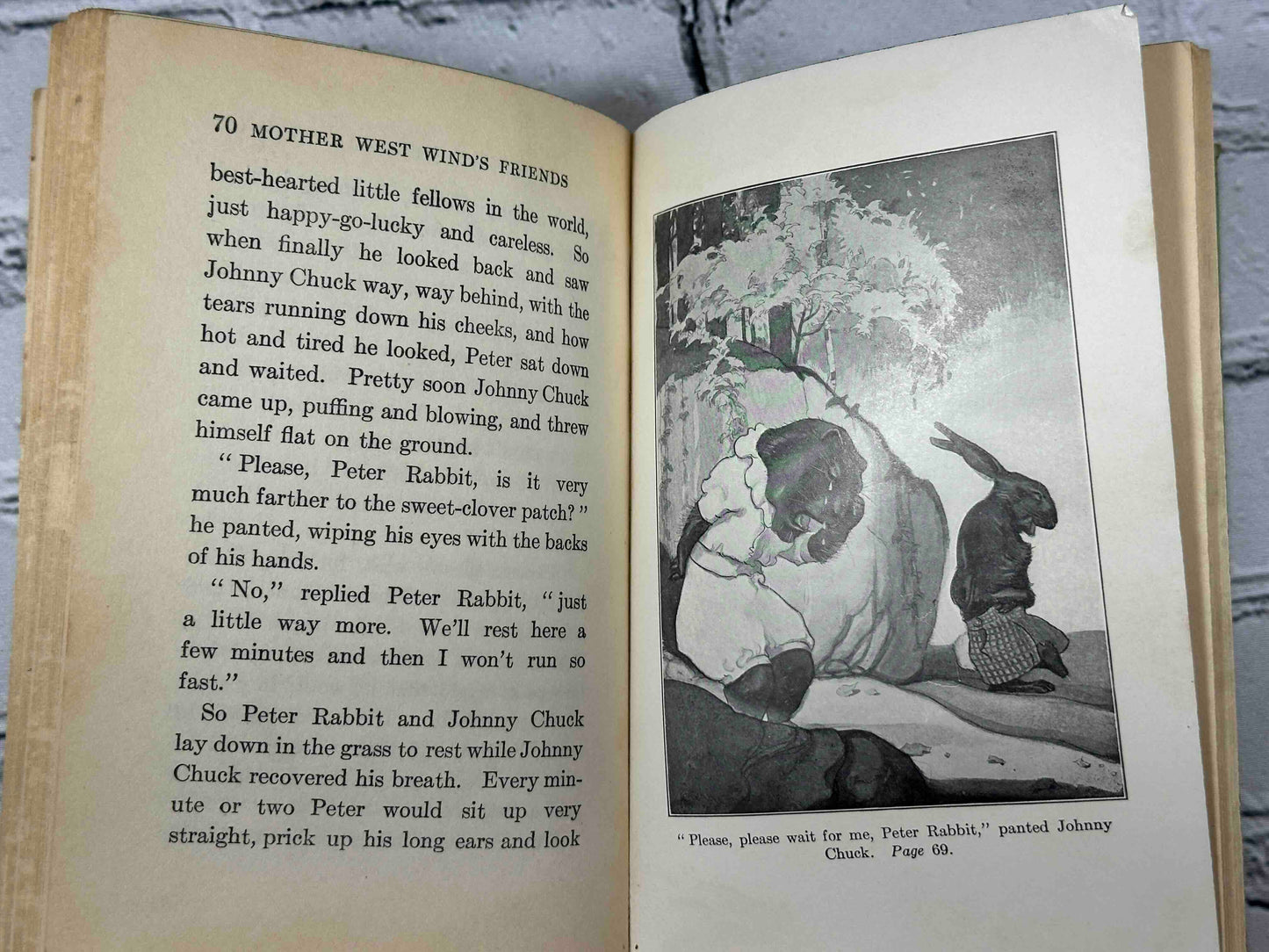 Mother West Wind's Animal Friends