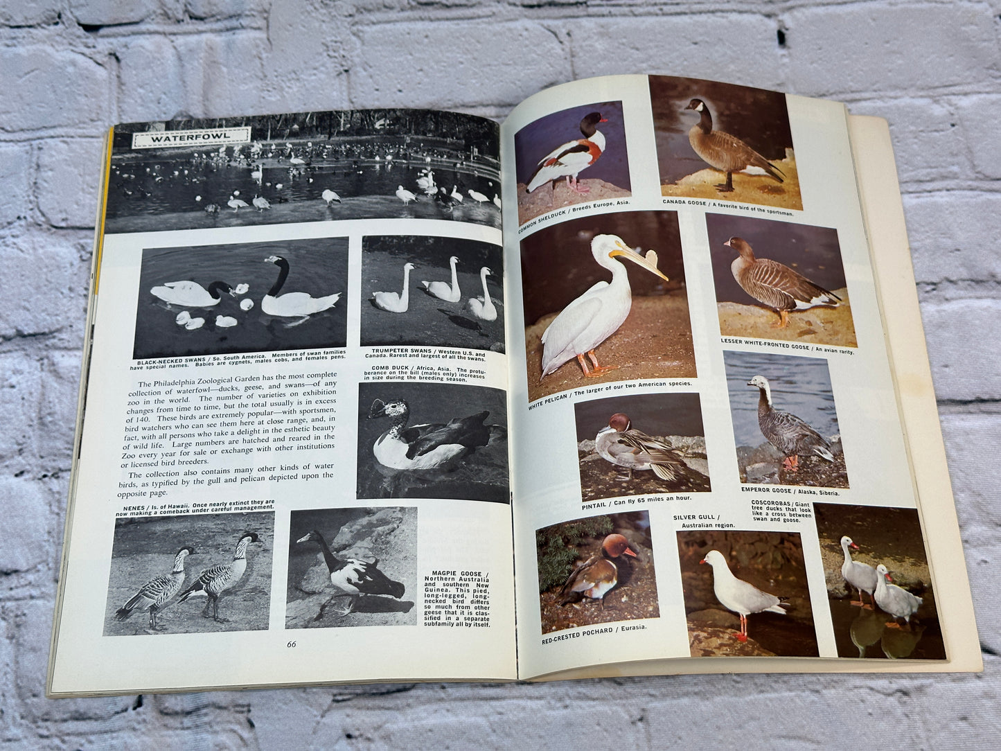 Philadelphia Zoo Animal Book and Guide to Garden