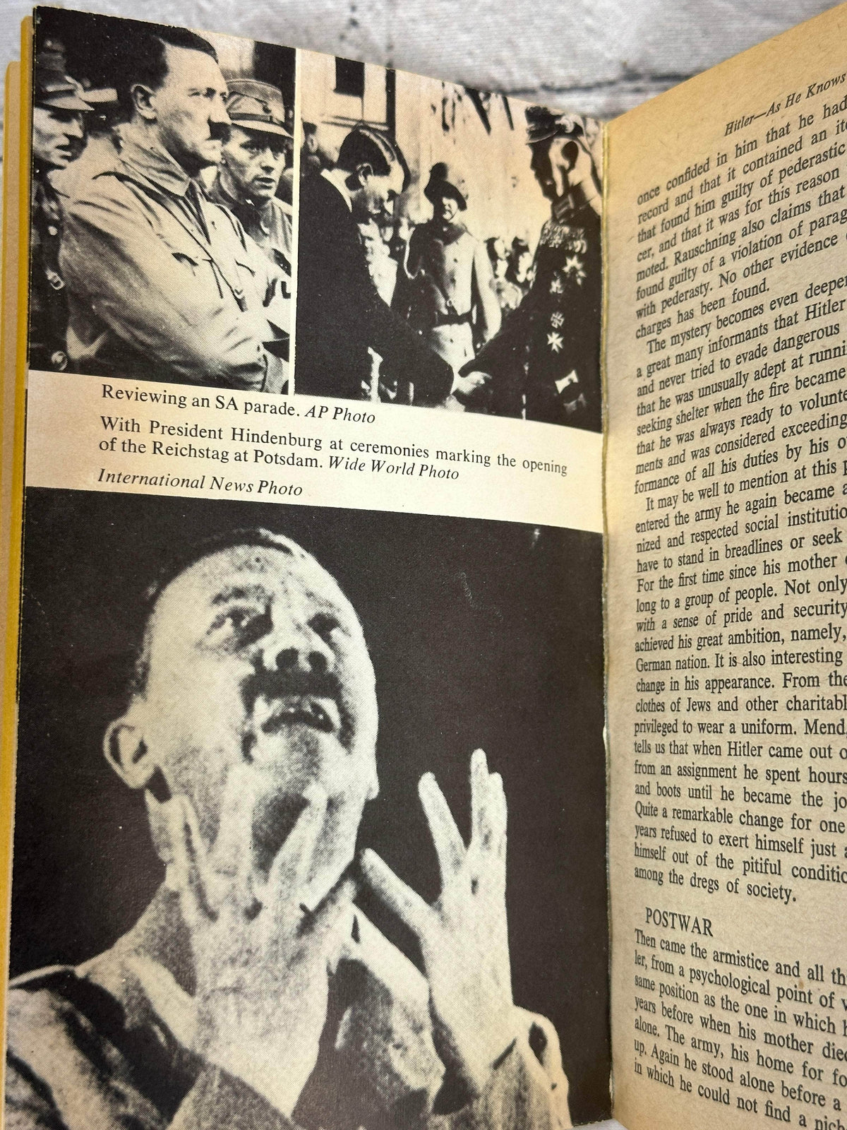 The Mind of Adolf Hitler by Walter C. Langer, 1973 - photo pages