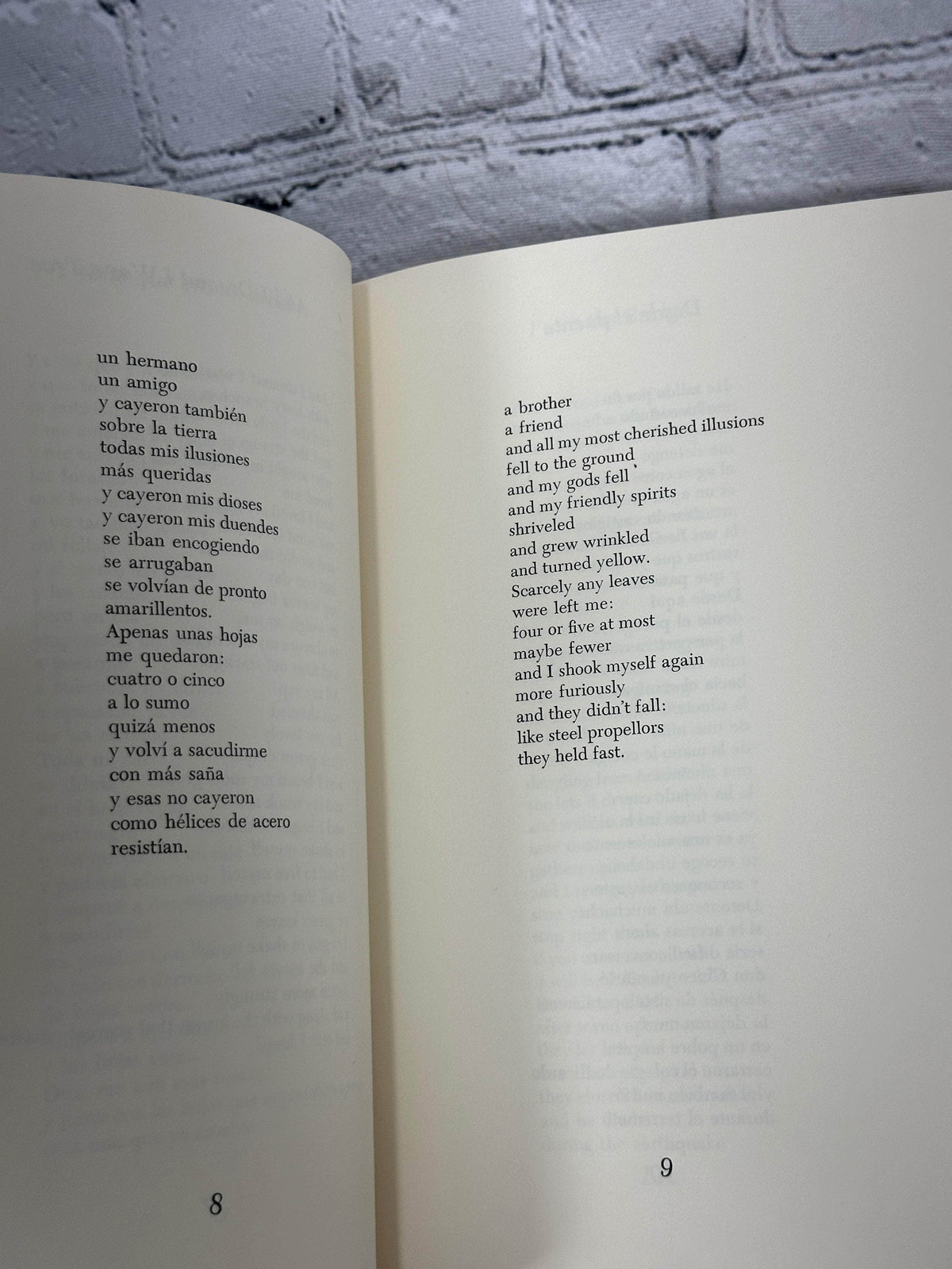 Woman of the River by Claribel Alegria, 1989 University of Pittsburgh Press paperback - sample bilingual poem pages