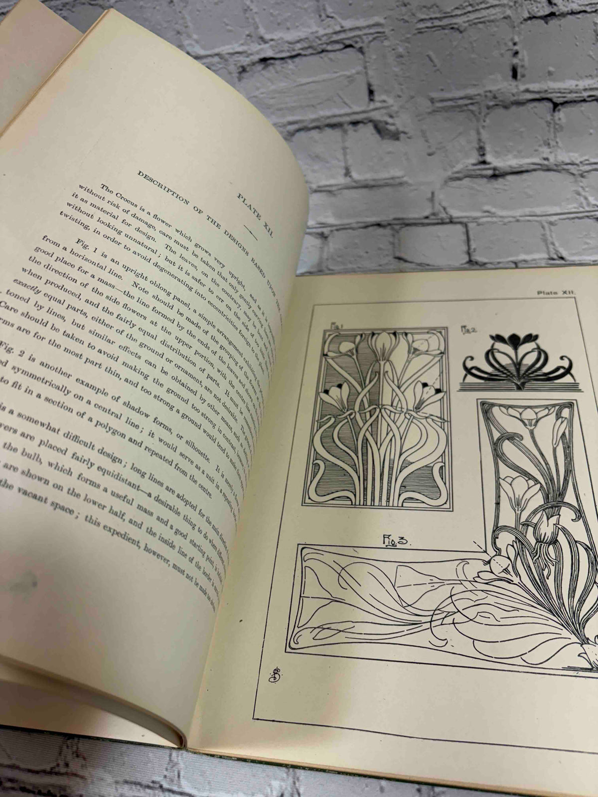 Nature Drawing and Design by Frank Steeley, G. W. Bacon & Co. hardcover - Plate XII crocus designs with description