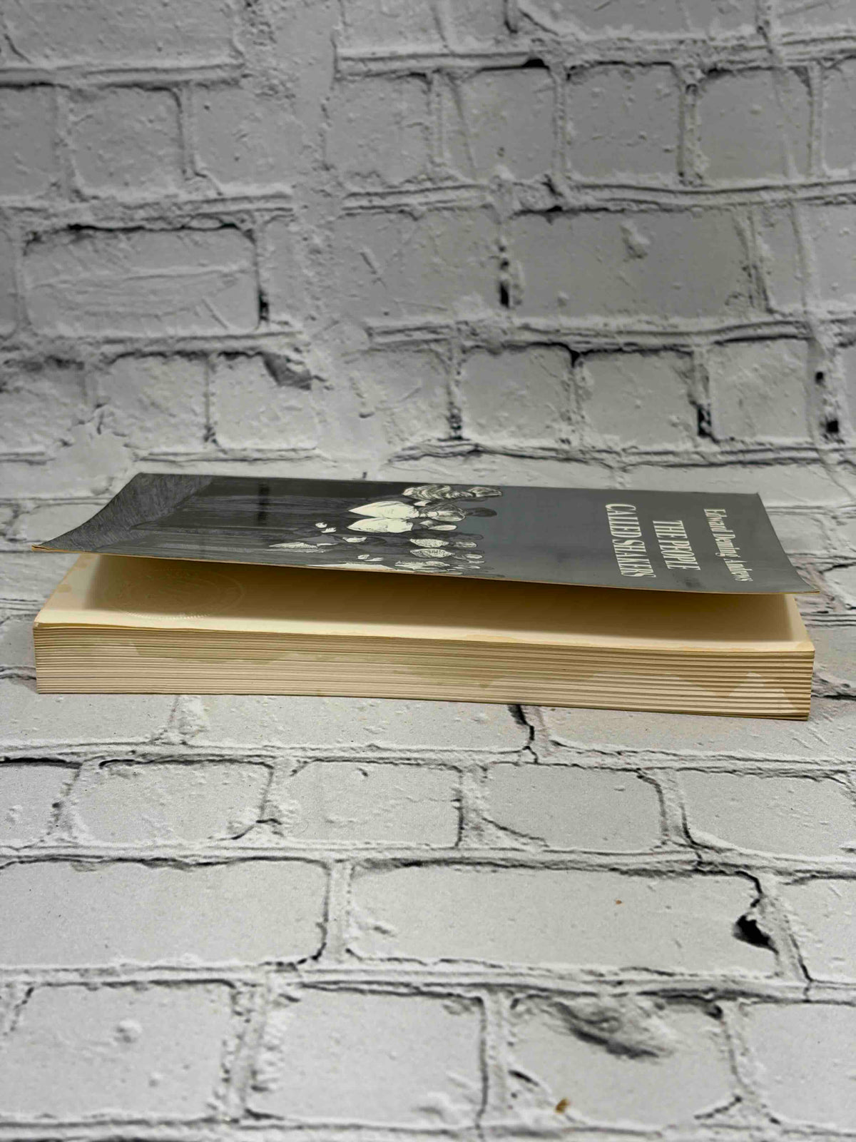 The People Called Shakers by Edward Deming Andrews, 1963 Dover Publications paperback - page edges