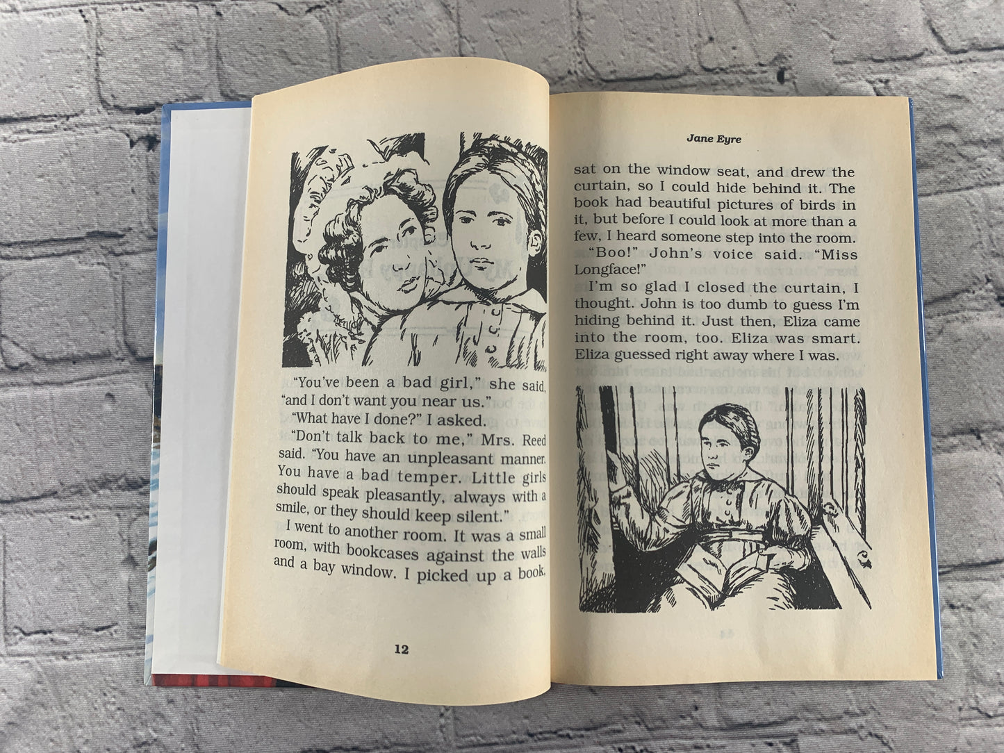 Jane Eyre (Treasury of Illustrated Classics)