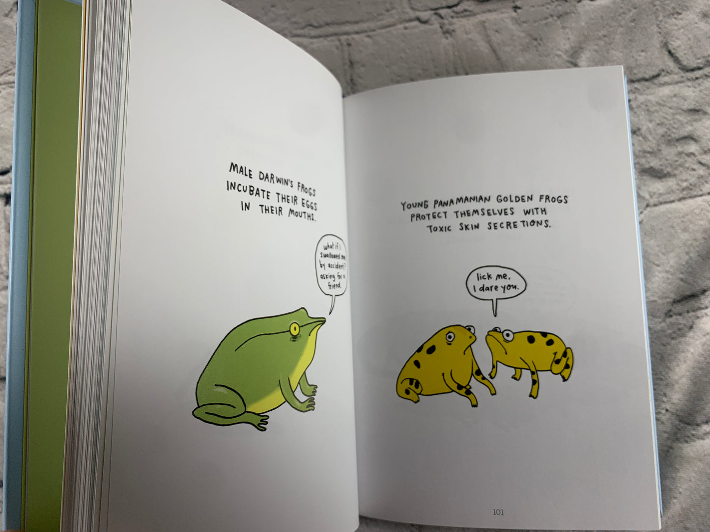 Sad Animal Babies