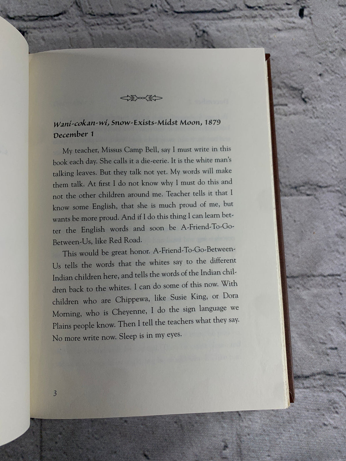 My Heart Is on the Ground: The Diary of Nannie Little Rose Sioux Girl