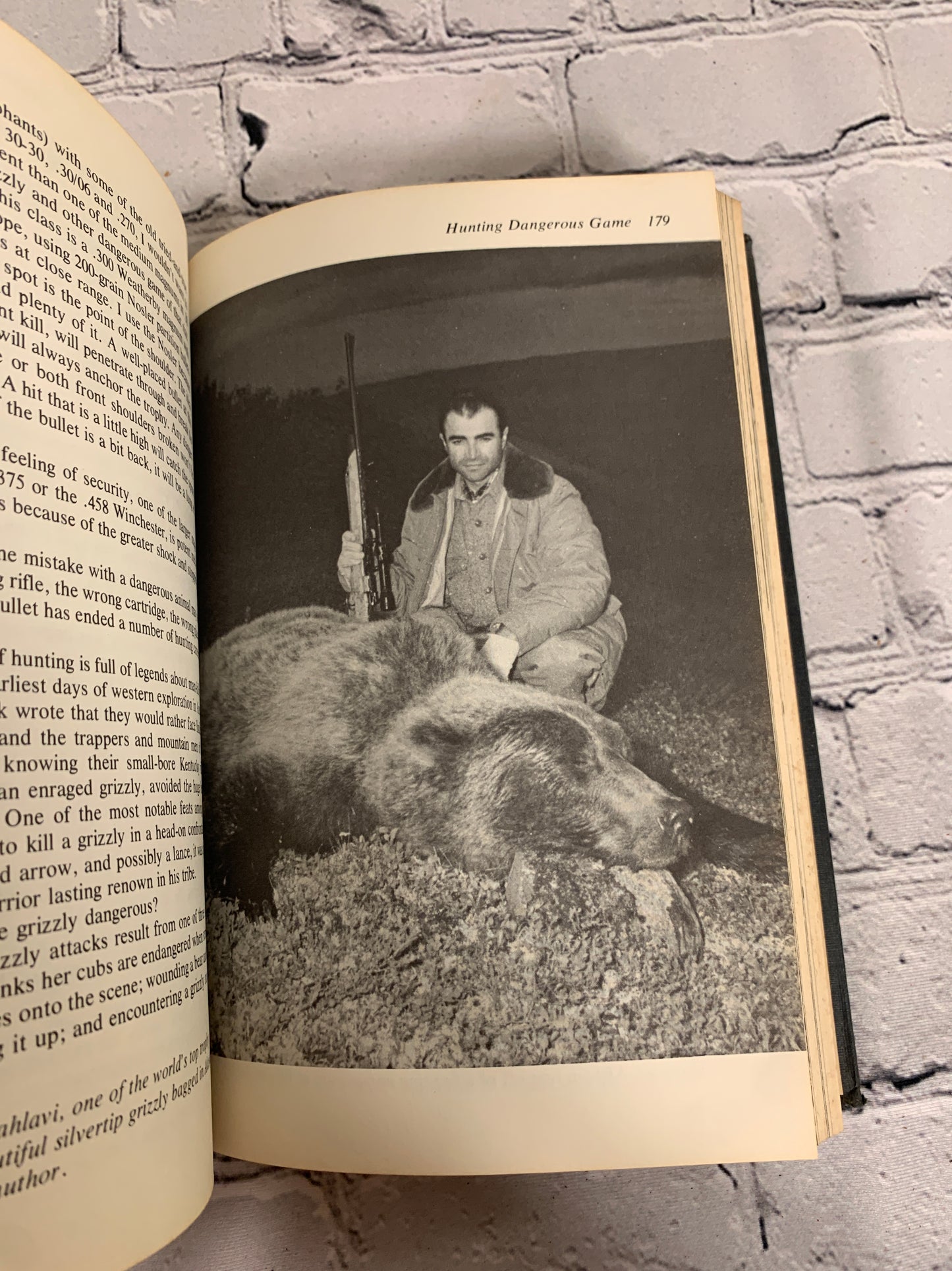 All About Rifle Hunting and Shooting in America