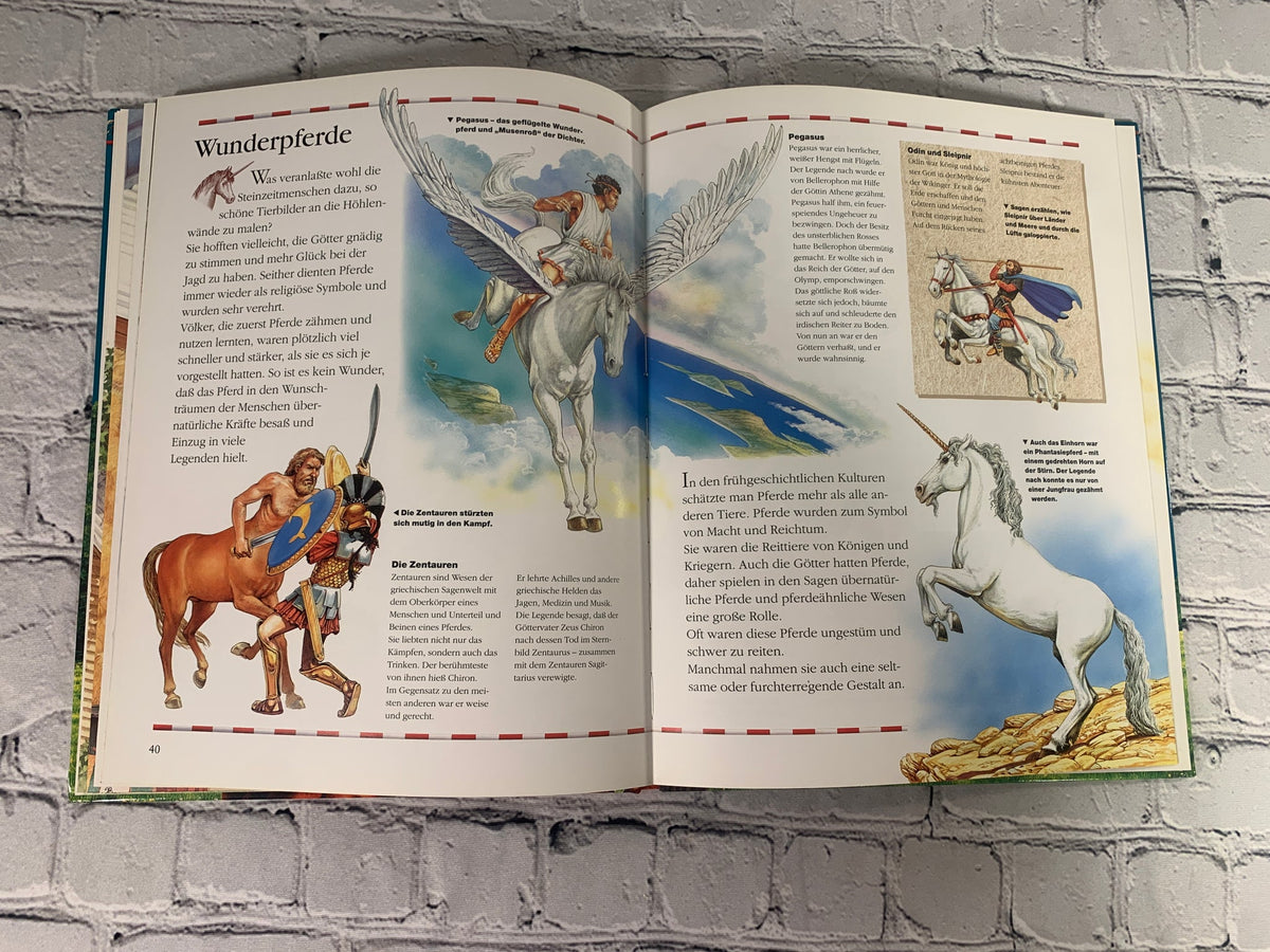 Das grobe Buch der Pferde (The Big Book of Horses)