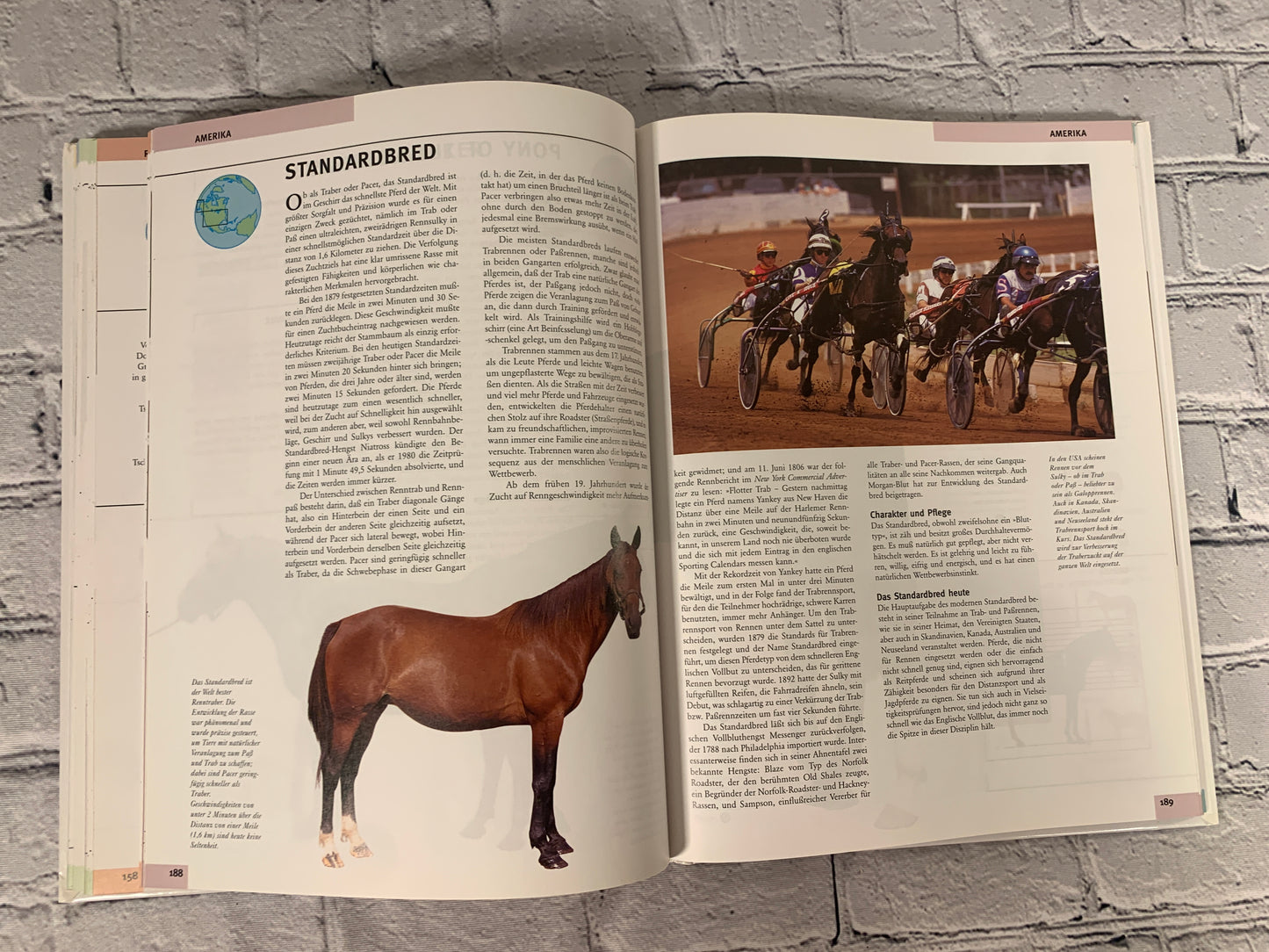Die Enzyklopadie der Pferde (Enclyclopdia of Horses)