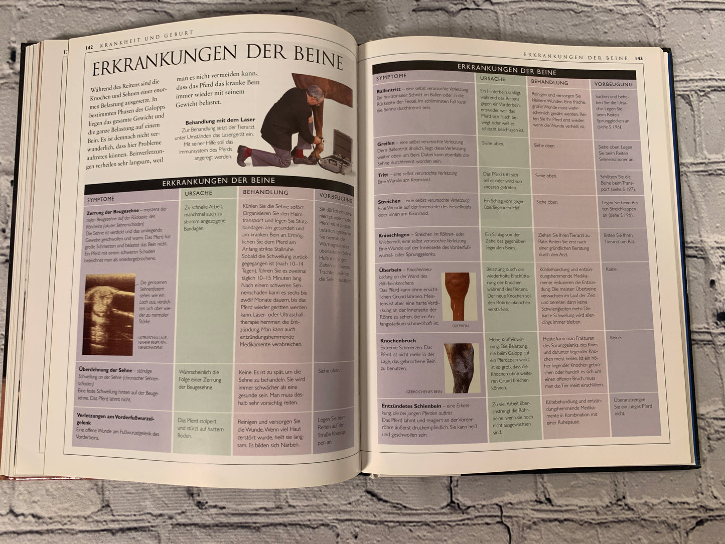 Pferdehaltung (Horse Management)