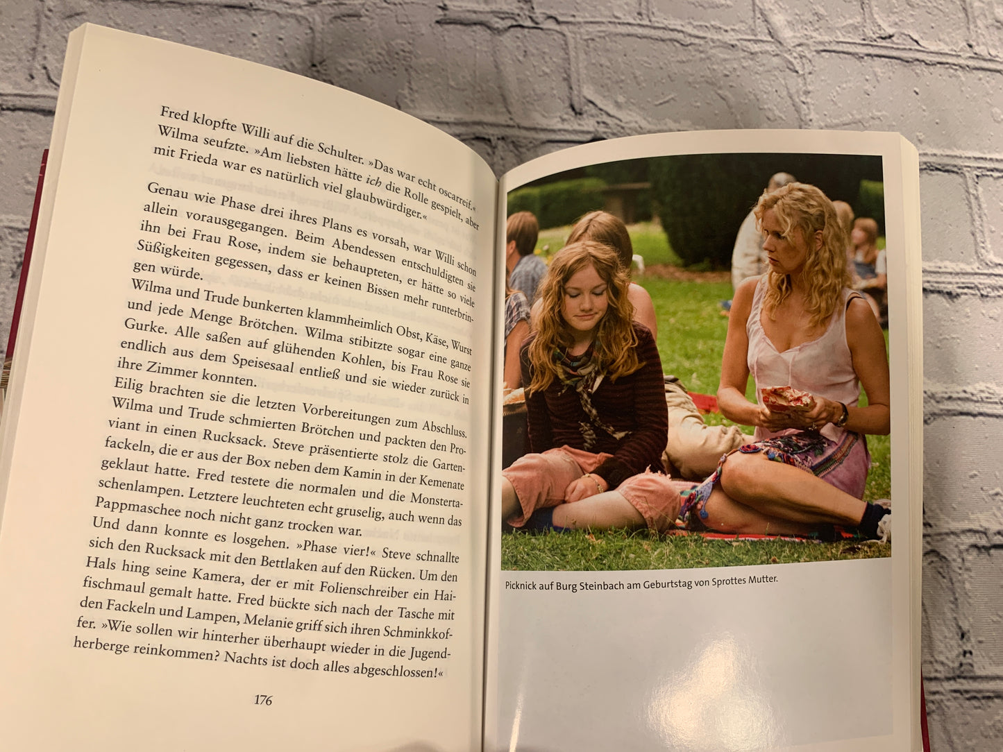 Die Wilden Huhner Und Das leben (The Wild Chickens and Life)